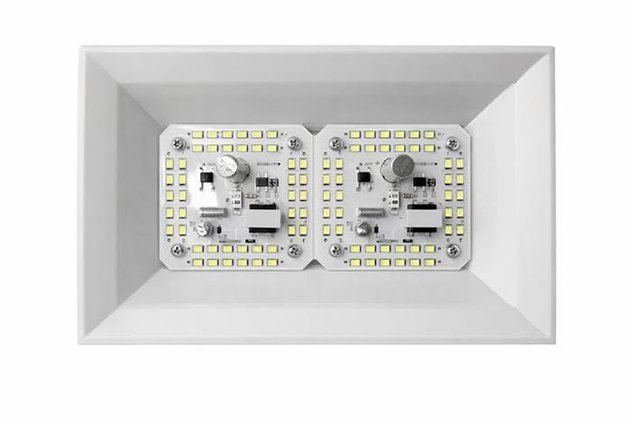 100W High Power LED Light for Home, Shop & Outdoor Use | Alpha LED Board | Aluminum Base