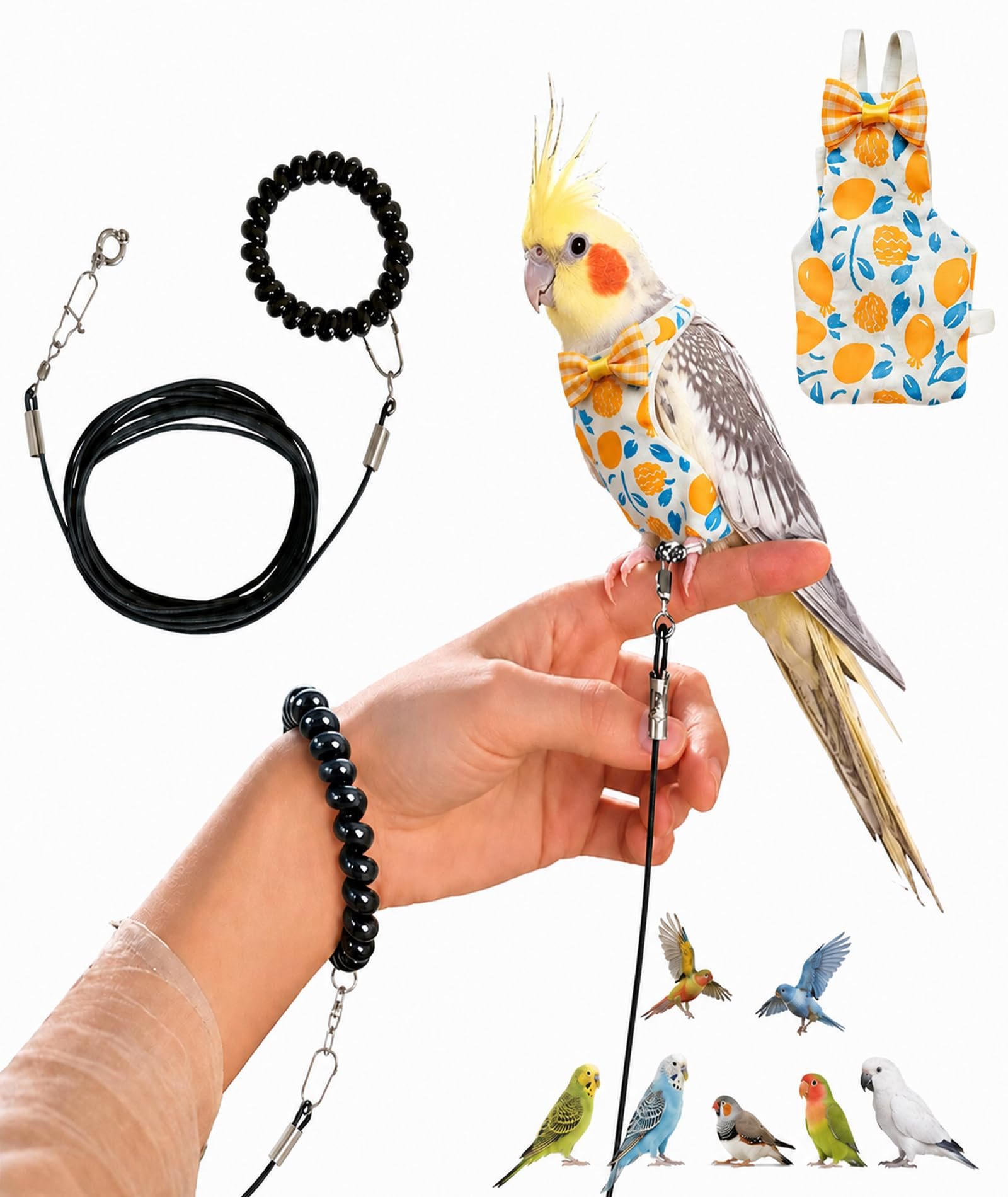 2Pcs Harness for Birds, 300CM Bird Harness, Harness for Birds, Outdoor Control, Bird Leash with Length, Black Bird Leash and