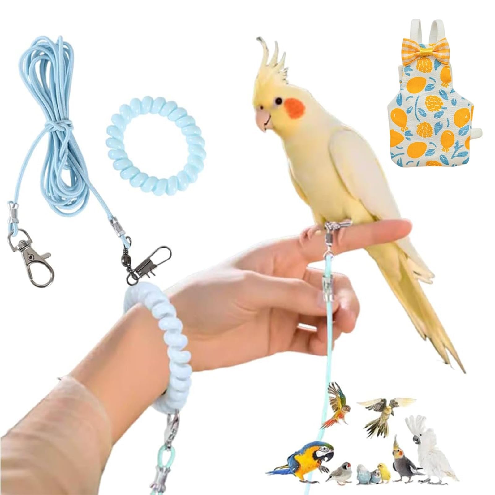 2Pcs Harness for Birds, 300CM Bird Harness, Outdoor Control, Bird Leash with Length, Blue Colour with Number Four Leg Ring an