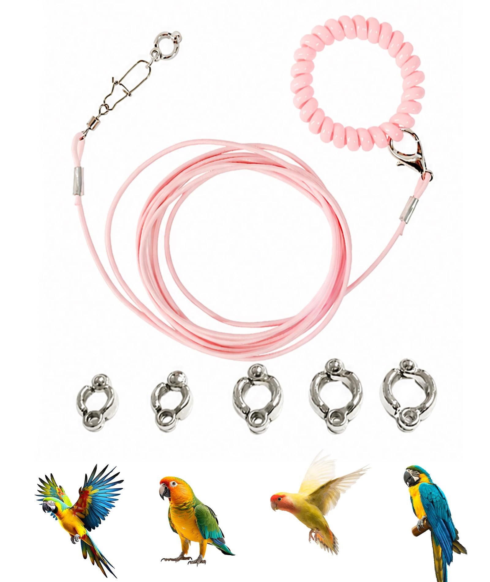 300cm Parrot Harness Adjustable Bird Leash, with 5pcs Multi Size Bird Leg Ring, Soft Bird Harness for Parrot, Durable Bird Le