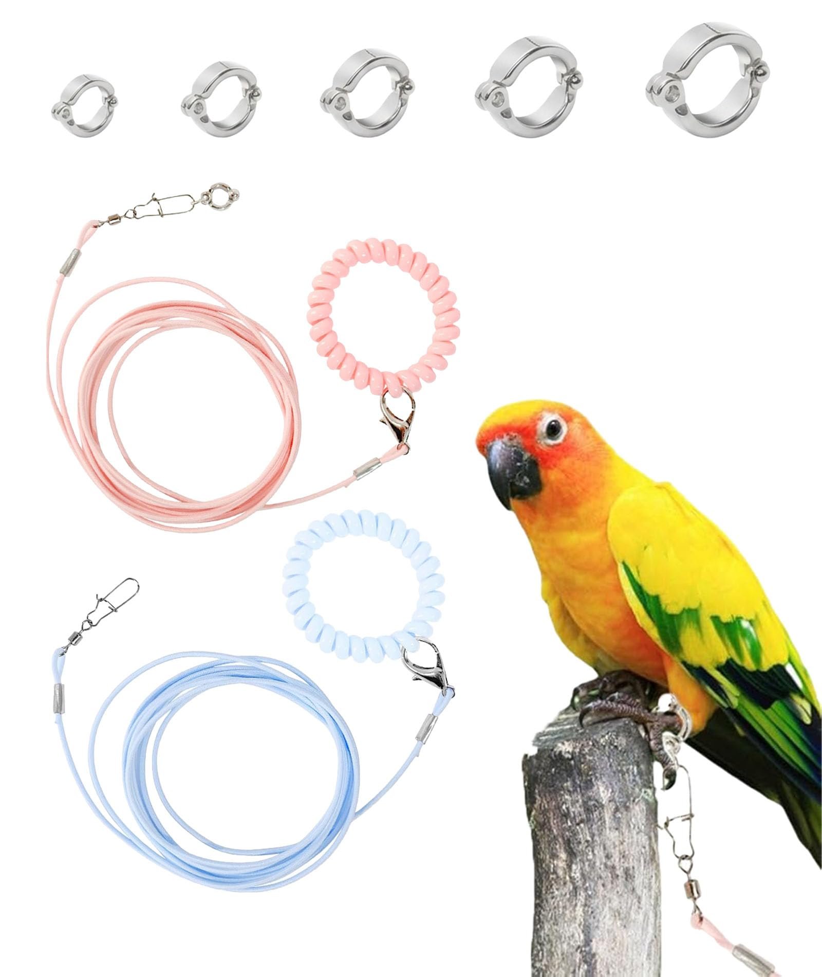 7PCS Bird Harness, Parrot Harness for Flight Training, Two Color Bird Harness and Five Adjustable Leg Rings, Providing Stable