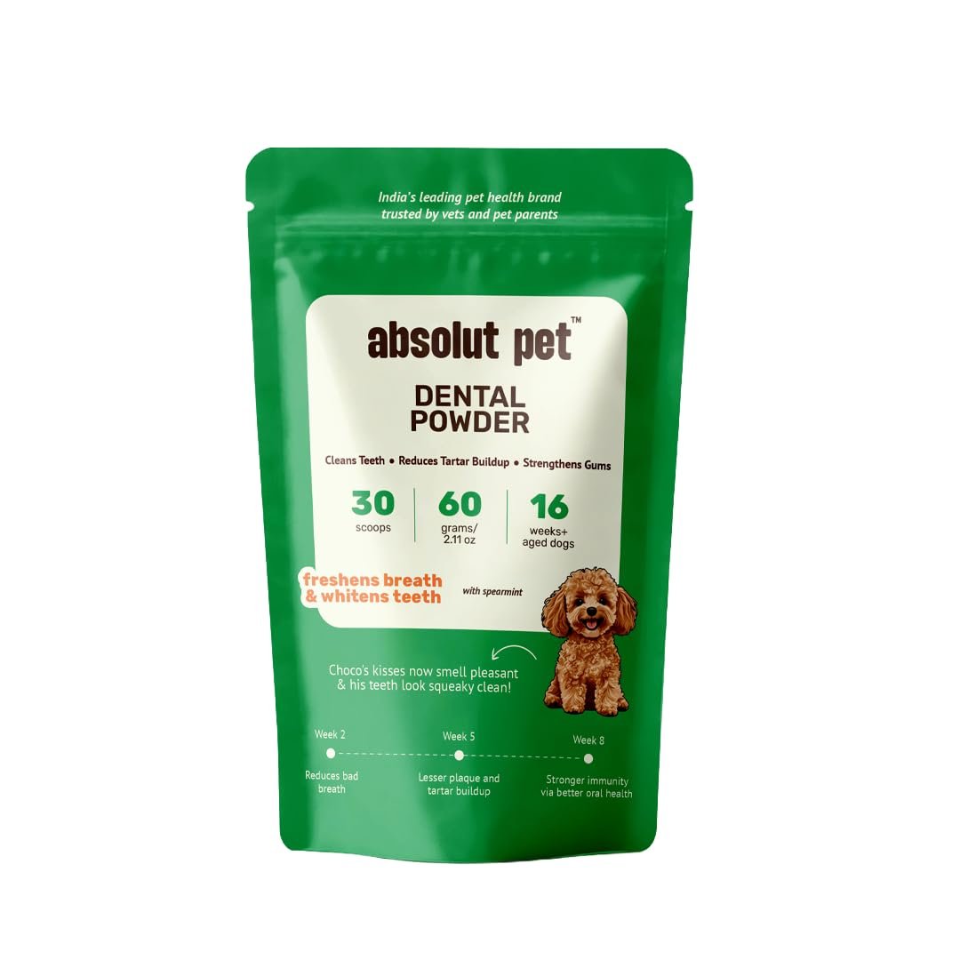 Absolut Pet Dental Powder for Dogs, Plaque, Tartar & Breath | 30 Servings | Easy-to-serve dental powder that fights plaque &
