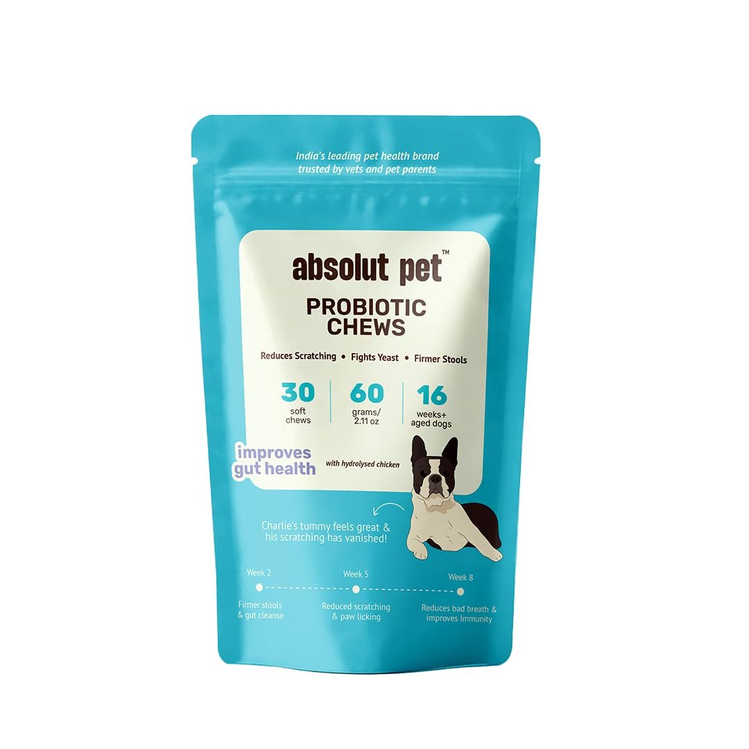 Absolut Pet Probiotic Gut Health Chews for Dogs | 30 Chews | Vet-approved probiotic chews with 14 strains & prebiotic fibres