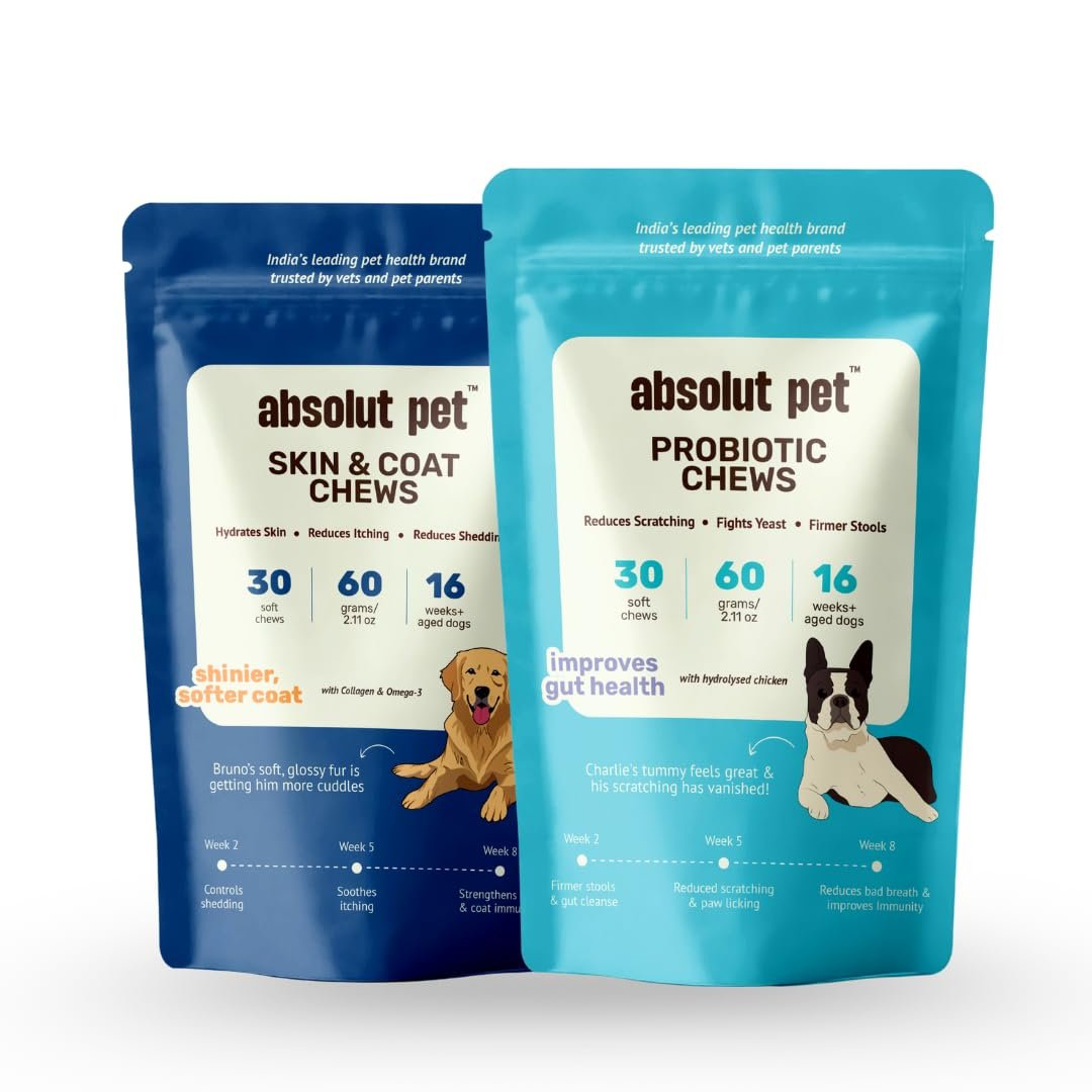 Absolut Pet Probiotic + Skin & Coat Dog Chews, Gut Health & Shine | Combo | Combo pack: probiotic chews for gut health & itch