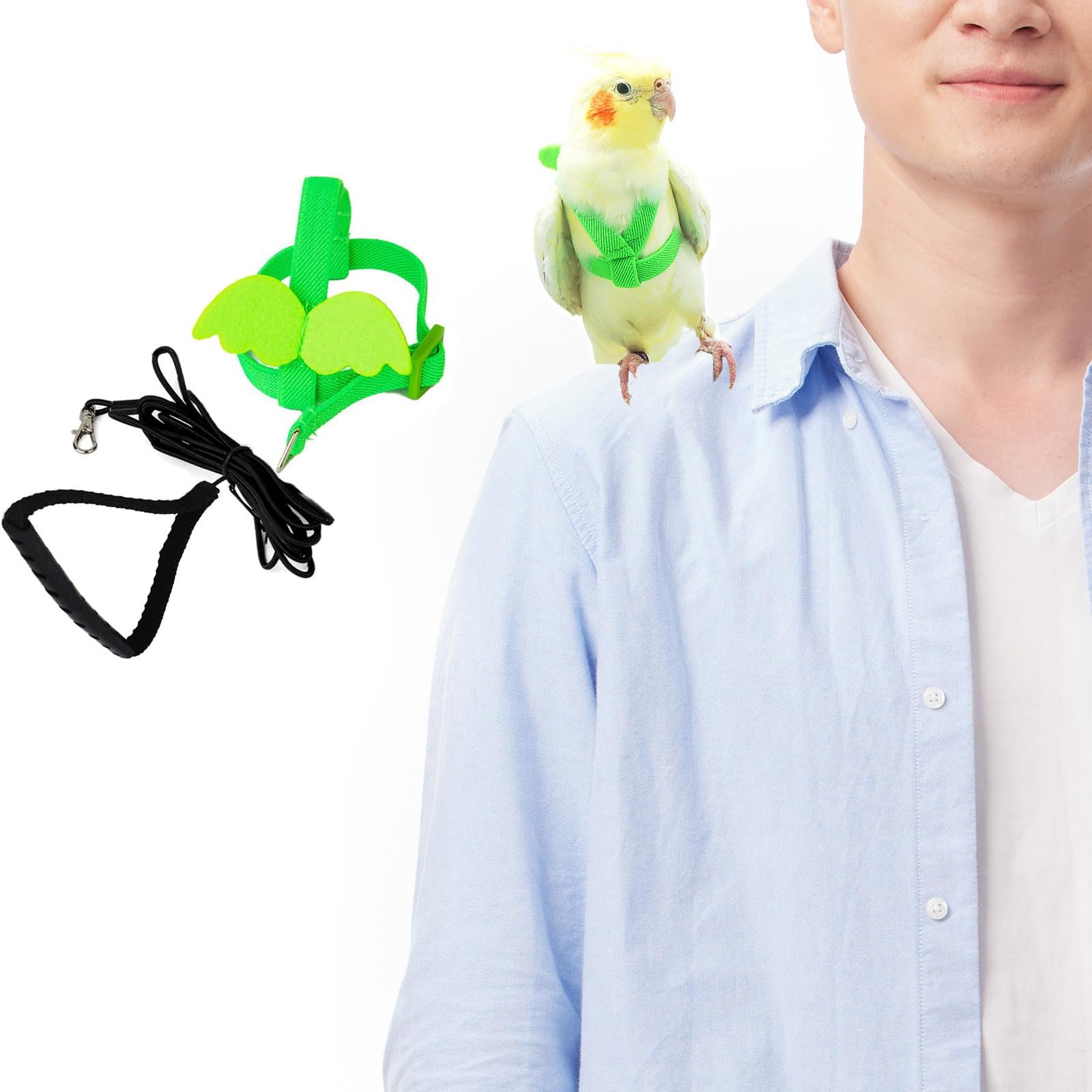 Adjustable Bird Leashes and Harnesses, Bird Nylon Harness with Cute Wing for Parrots, Pet Bird Accessories, Bird Leash for Ha