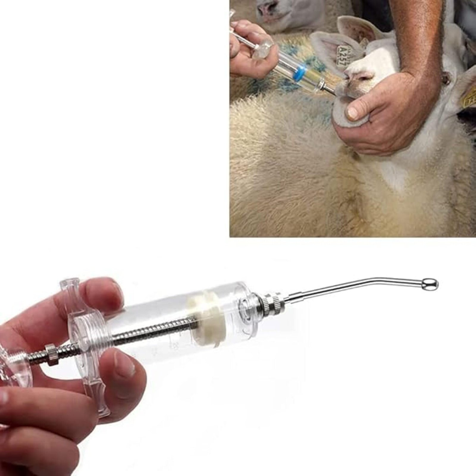 Agarwals 50ml Oral Feeding Syringe With Nozzle | Transparent | Luer Lock With Nozzle | for Veterinary Use