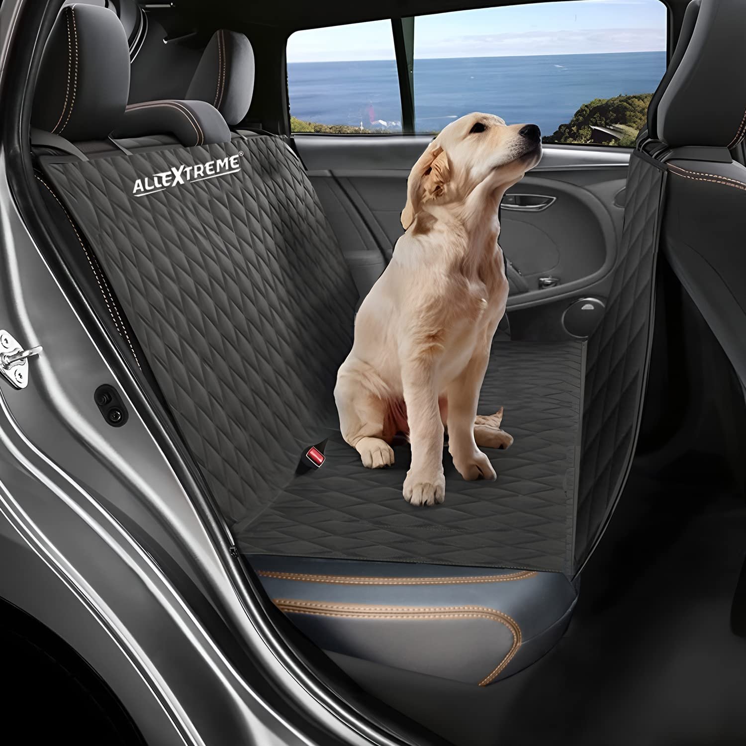 AllExtreme EXGCS01 Dog Car Seat Cover Backseat Pet Travel Protector for Hatchbacks Polyester Nonslip Backing & Hammock Padded