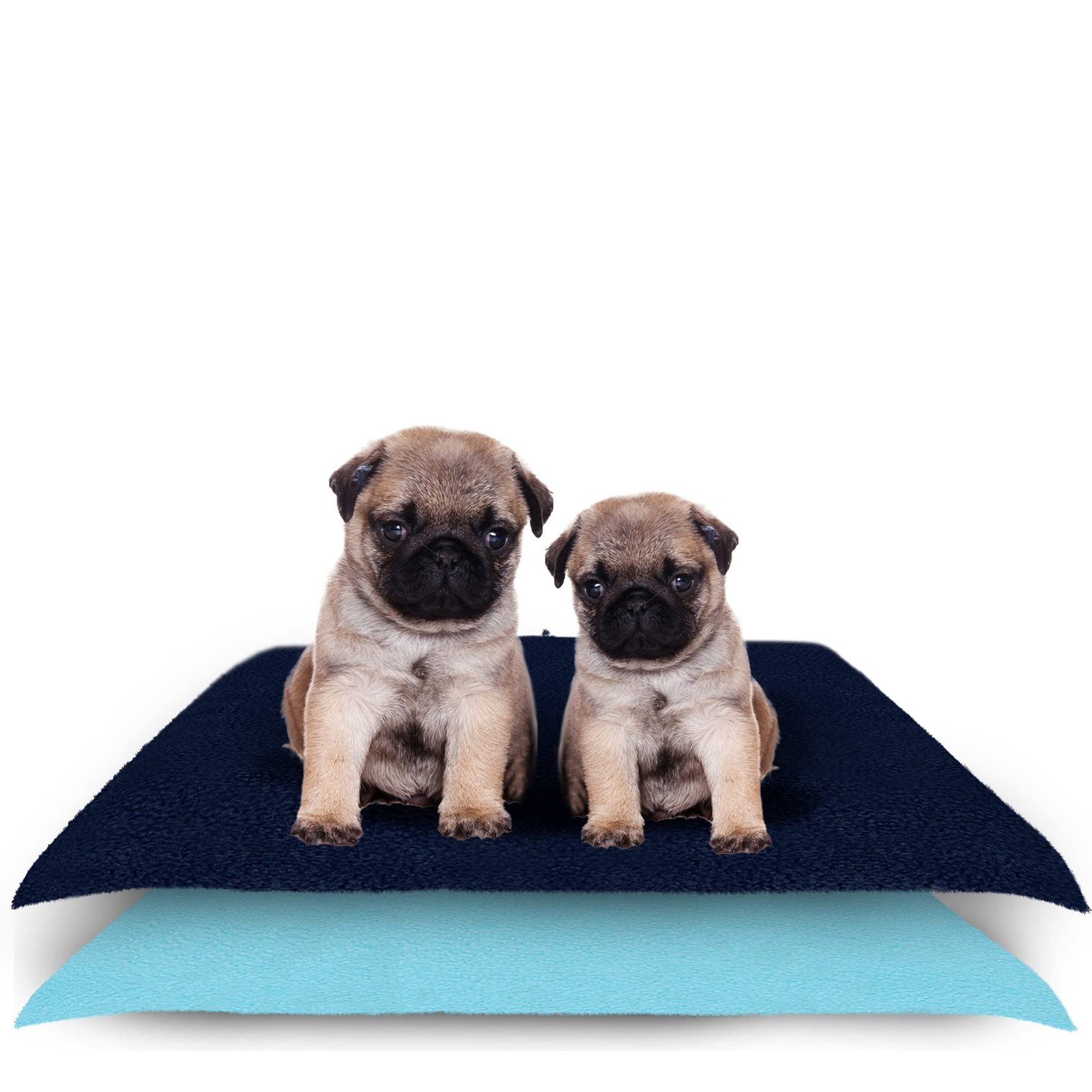 Amorite Washable Dog Pee Pads 70 X 50 Dark Blue + Sea Blue Pack of 2 (Small) | Reusable Dog Potty Training Mat | Non-Slip Pee