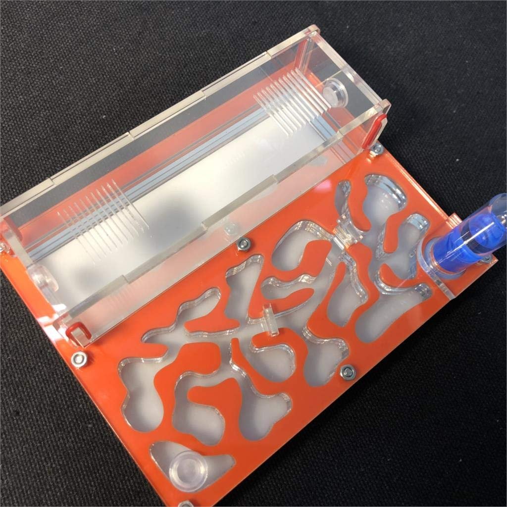 ANT GRAPE ANT 150mmx110mm Test Tube Moisture Big Space Nest Farm Acrylic, Insect Villa House Ecological Workshop (Orange)