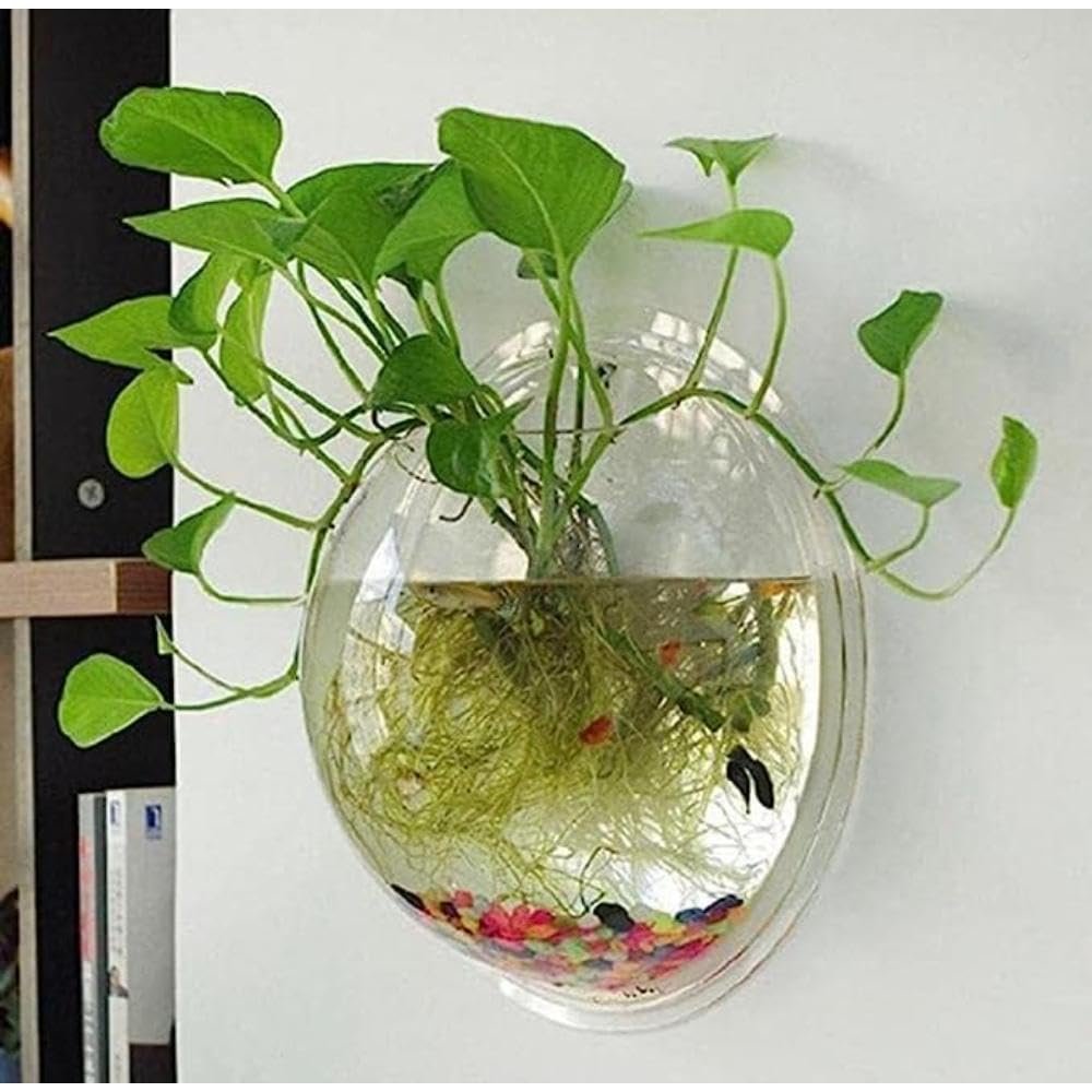 Antique Quality Wall Hanging Fish Bowl Acrylic (Not Glass) 9 Inches, 1 LTR