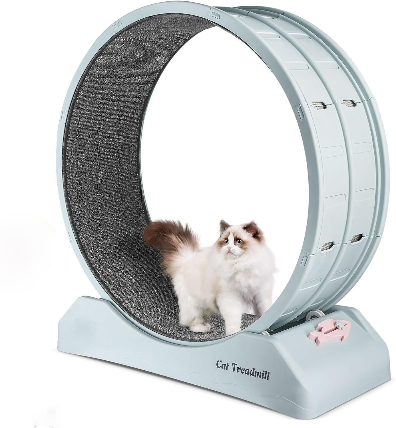 Arcanine Cat Exercise Wheel for Indoor Cats -Cat Exerciser Treadmill, for Cats, Love Kitty Running/Walking/Training for Fitne