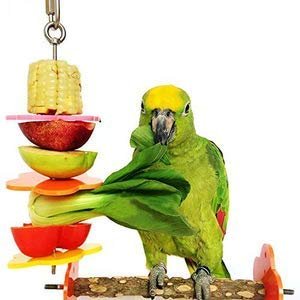 AVI CRAVE Bird Food Holder, Bird Feeders, Stainless Steel Parrot Fruit Vegetable Stick Holder, Foraging Toy, Bird Treat Skewe