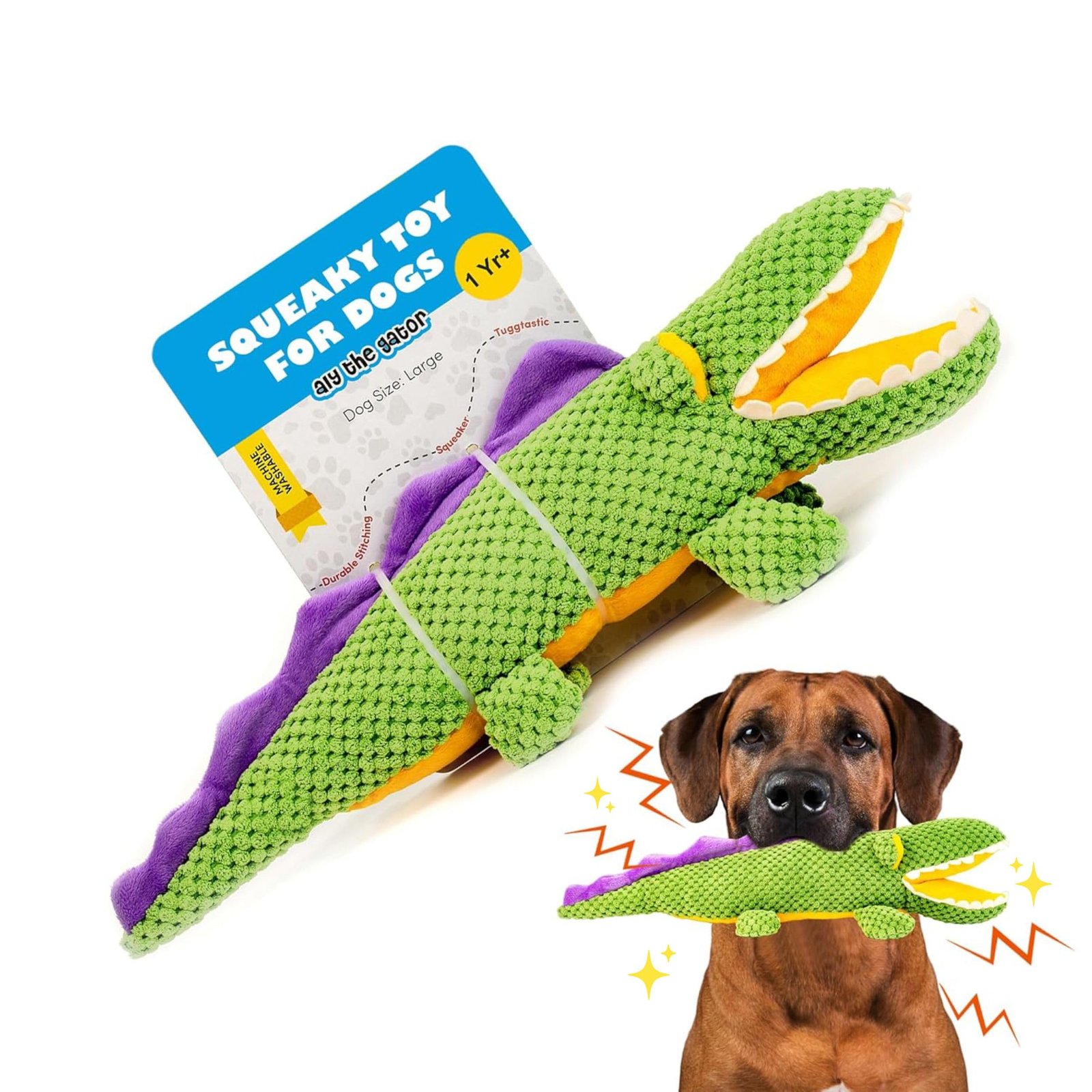 BarkButler Aly The Gator Plush Dog Toy - Soft & Squeaky Toys for Dogs, Dog Toys for Large Dogs (5-30kgs) - Green