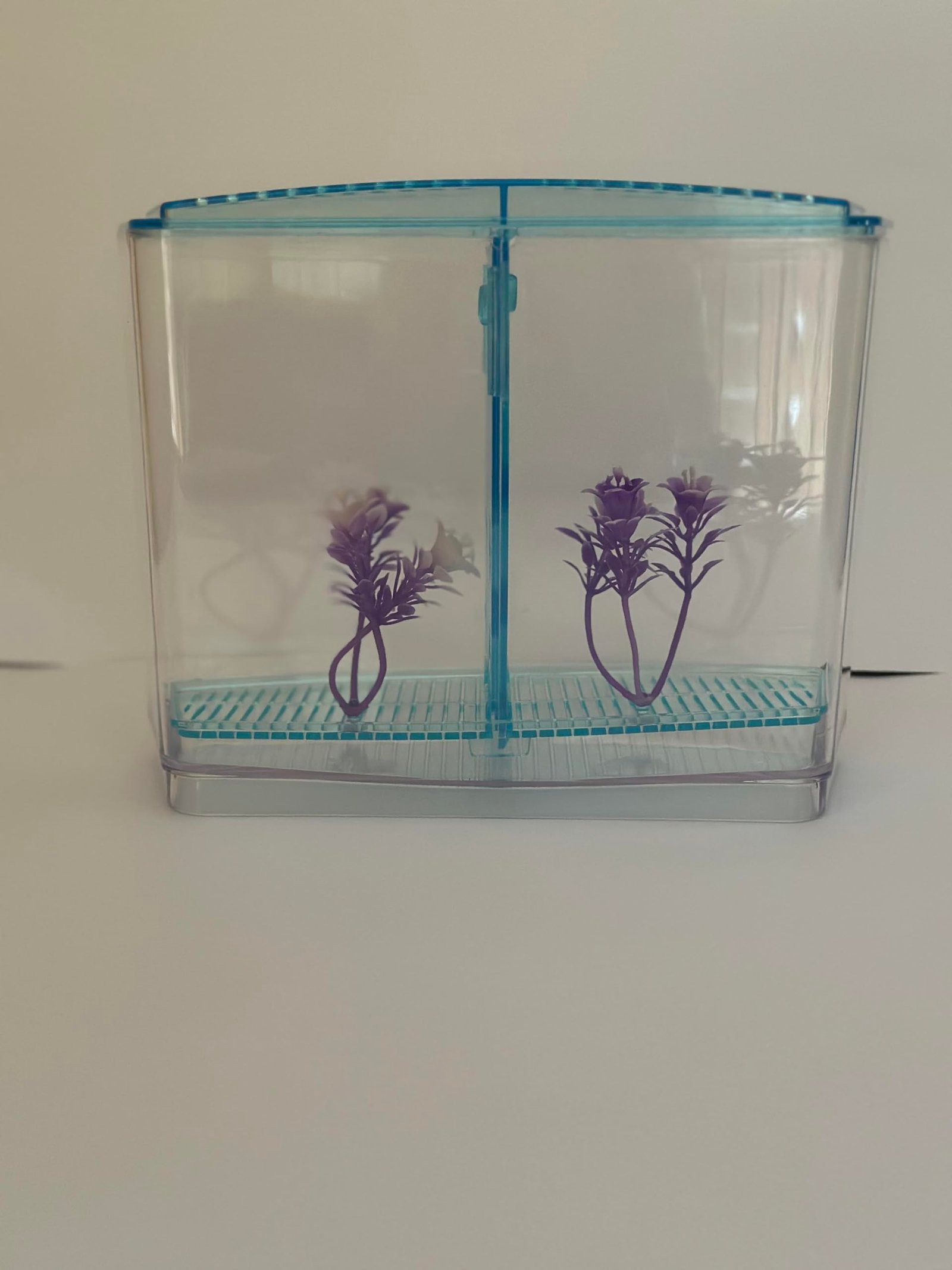 Betta Fish Tank - Blue Colour - with Isolation Venting Cover, Transparent Insulation Panels, Bottom Drain, 30 x 20 x 20 cm