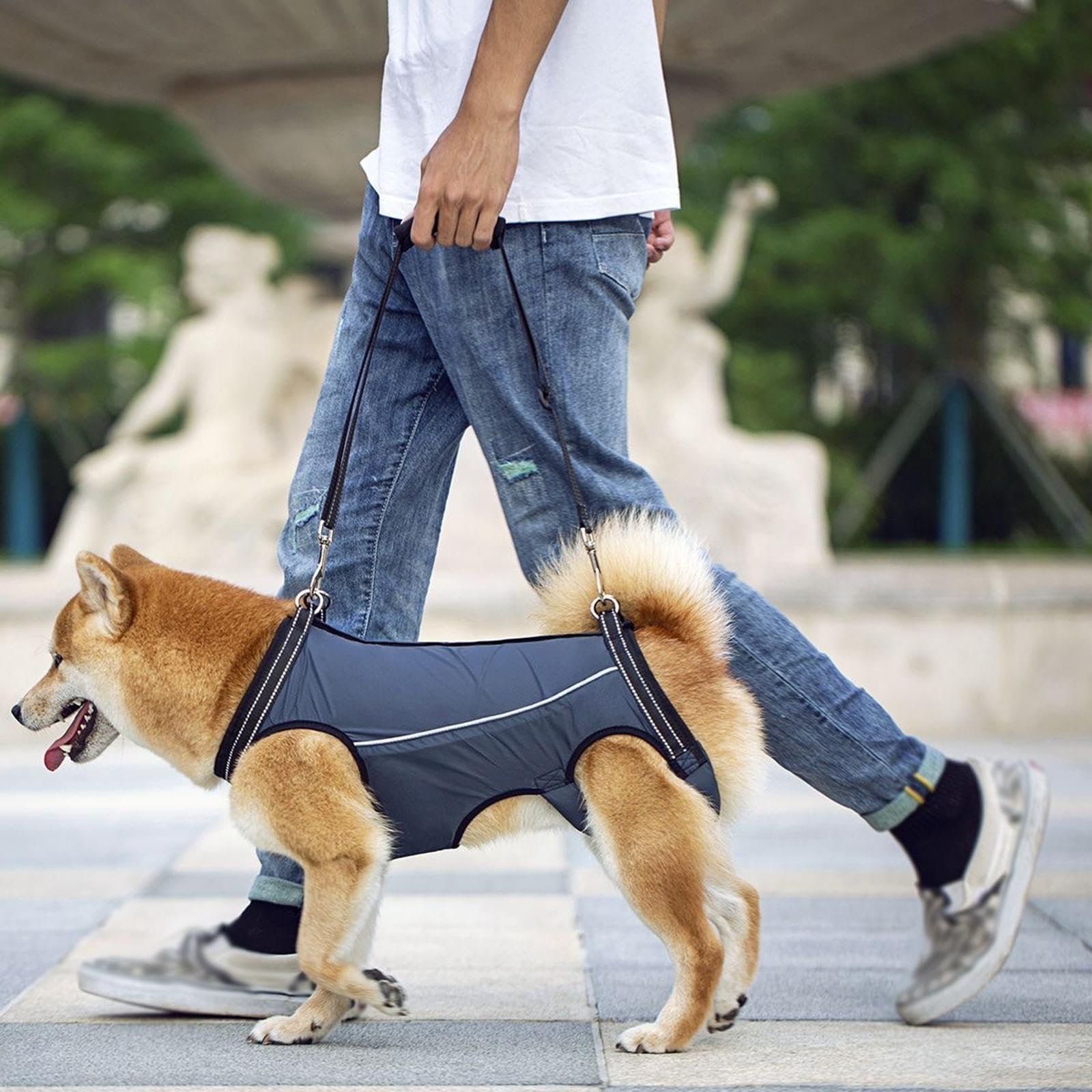 Bnf® Dog Lift Support Harness Full Support Dog Carrier Strap for Old Walking M|Pet Supplies | Dog Supplies | Harnesses|1 Pet