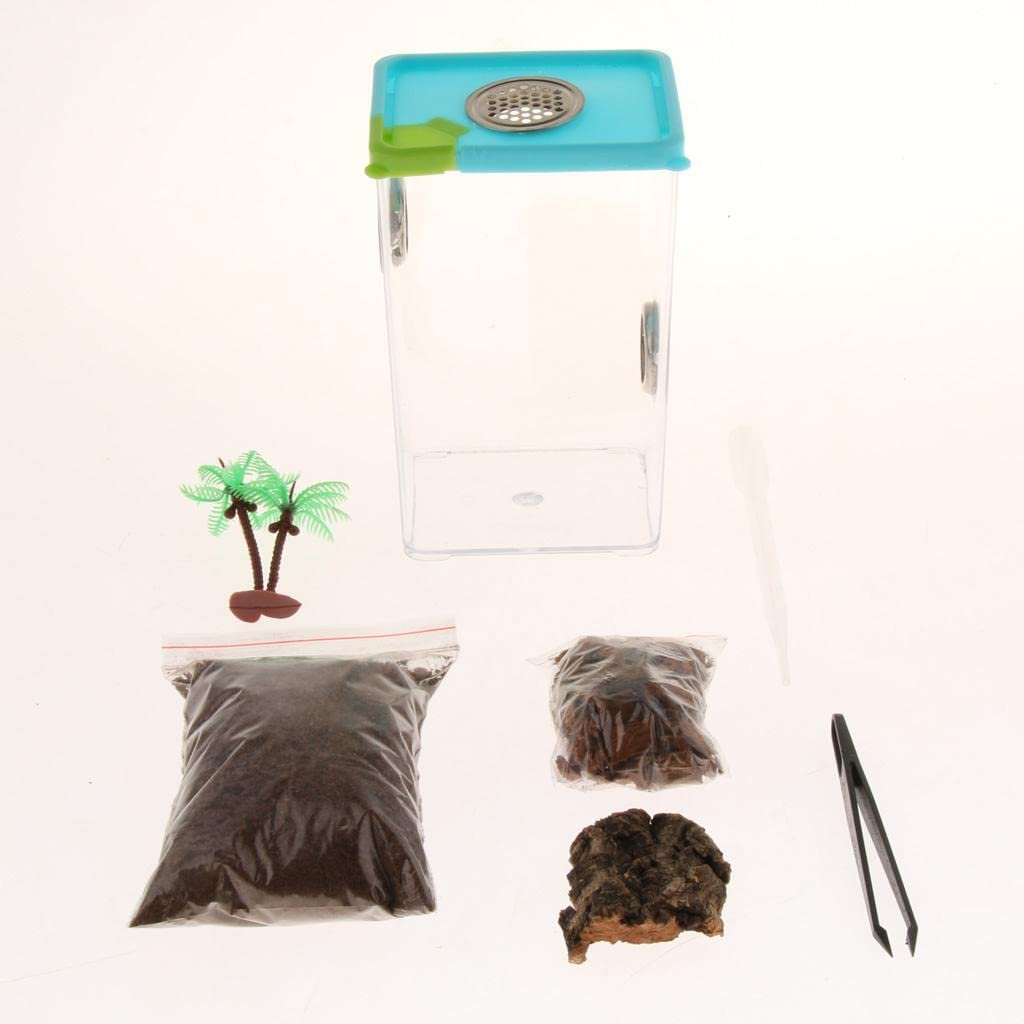 BNF® Pet Supplies Spider Insect Tank Transparent Breeding Container 3|Pet Supplies | Reptile Supplies|1Pcs Reptile breeding B