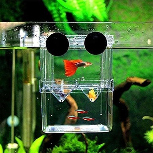 Breeding Box Isolation Box Fish Tank Aquarium Breeder Box Double Guppies Incubator Aquarium Rectangle Aquarium Tank (13.5cm x