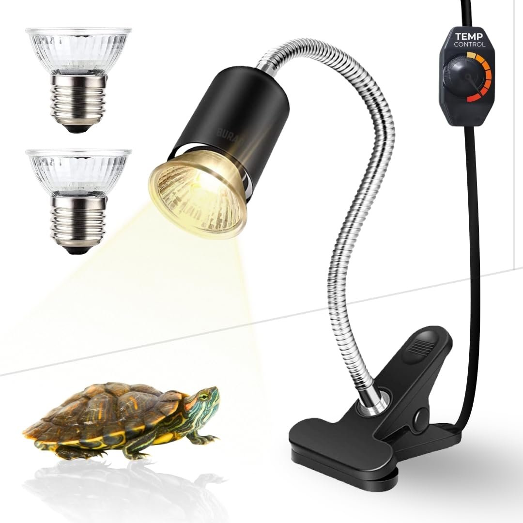 Buraq Pets E27 Base Reptile Heat Lamp, 50W UVA | UVB Turtle Basking Light with Holder & 2 Bulbs Full Spectrum Sun Lamp, Amphi