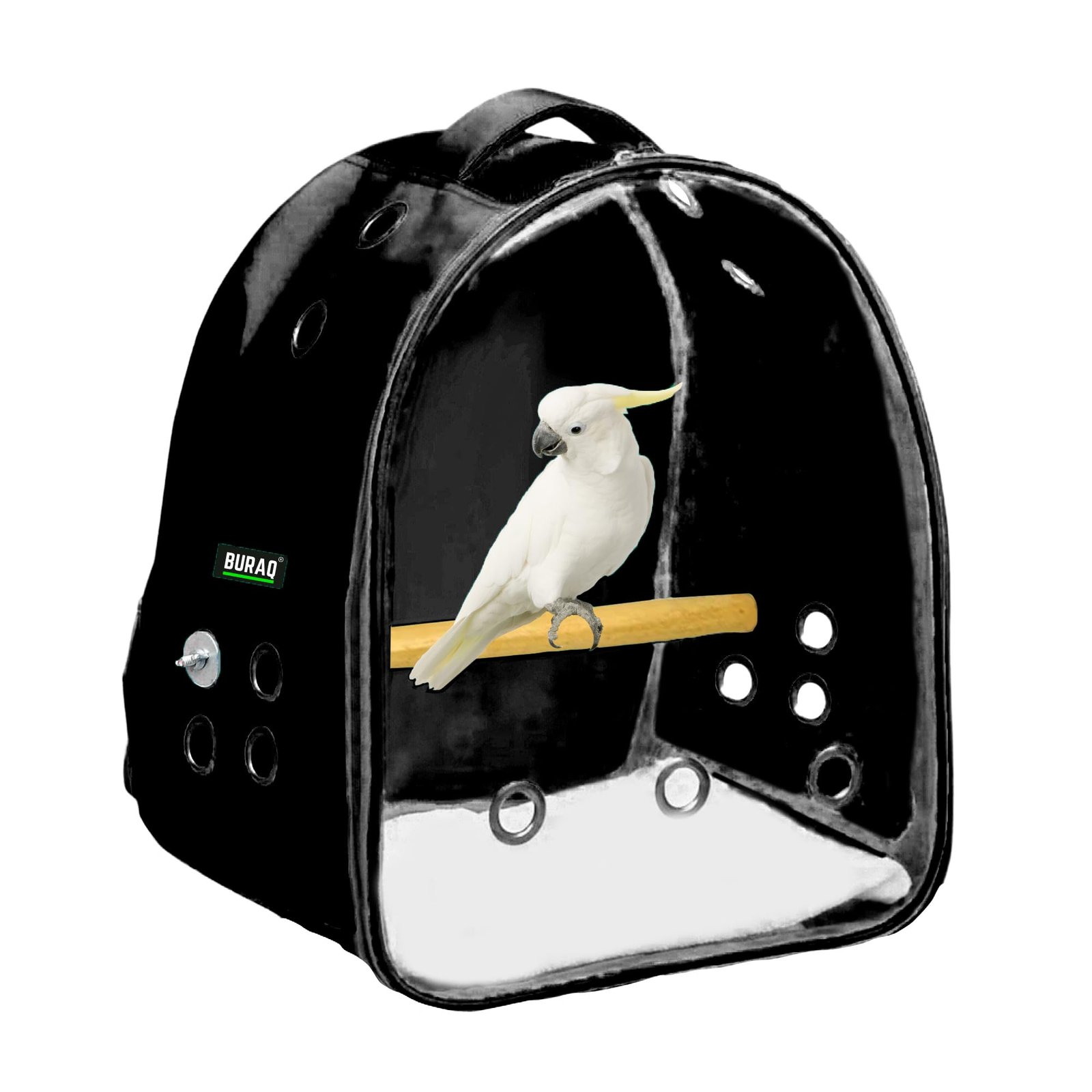 Buraq Transparent Bird Carrier Breathable Airline-Approved, Ventilated Bag for Travel, Hiking and Outdoor for Birds (Black)