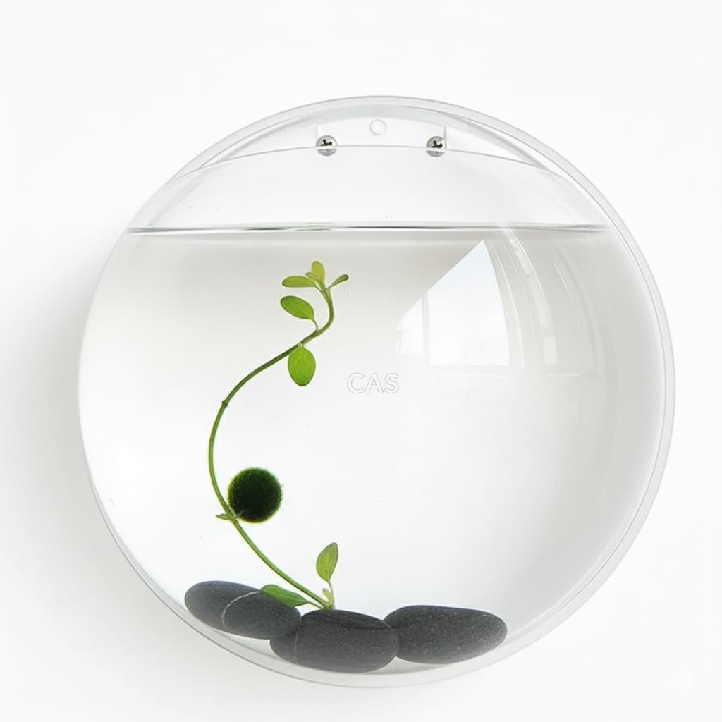 CAS (15 INCHES Large Size 8 litres) White Wall Mount/Wall Hanging Fish Bowl (NO Plastic) 100% Durable Long Lasting Acrylic (n