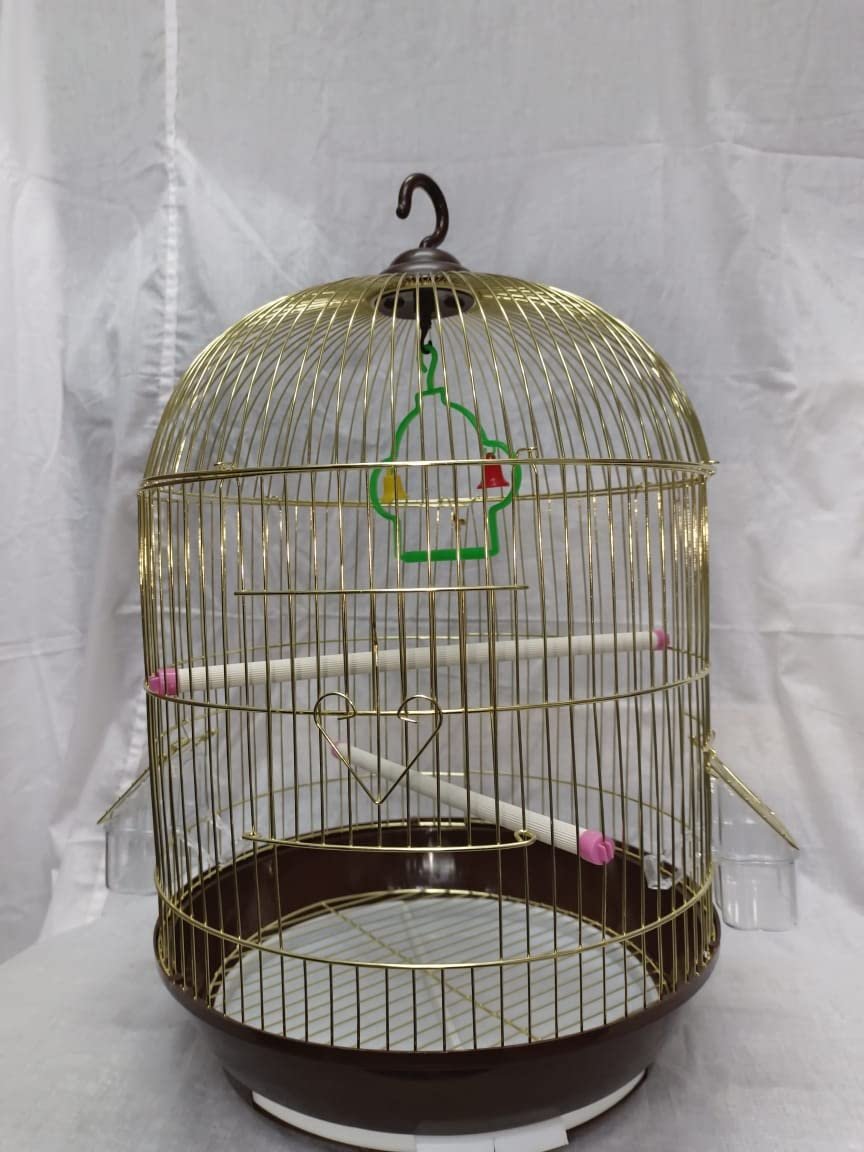 CENTRAL FISH AQUARIUM Bird Cage For Budgies,Finches,Love Birds,Cuttlefish Boneholder,Cuttlefish Bone,2 Plastic Perch,2Cups,Sw