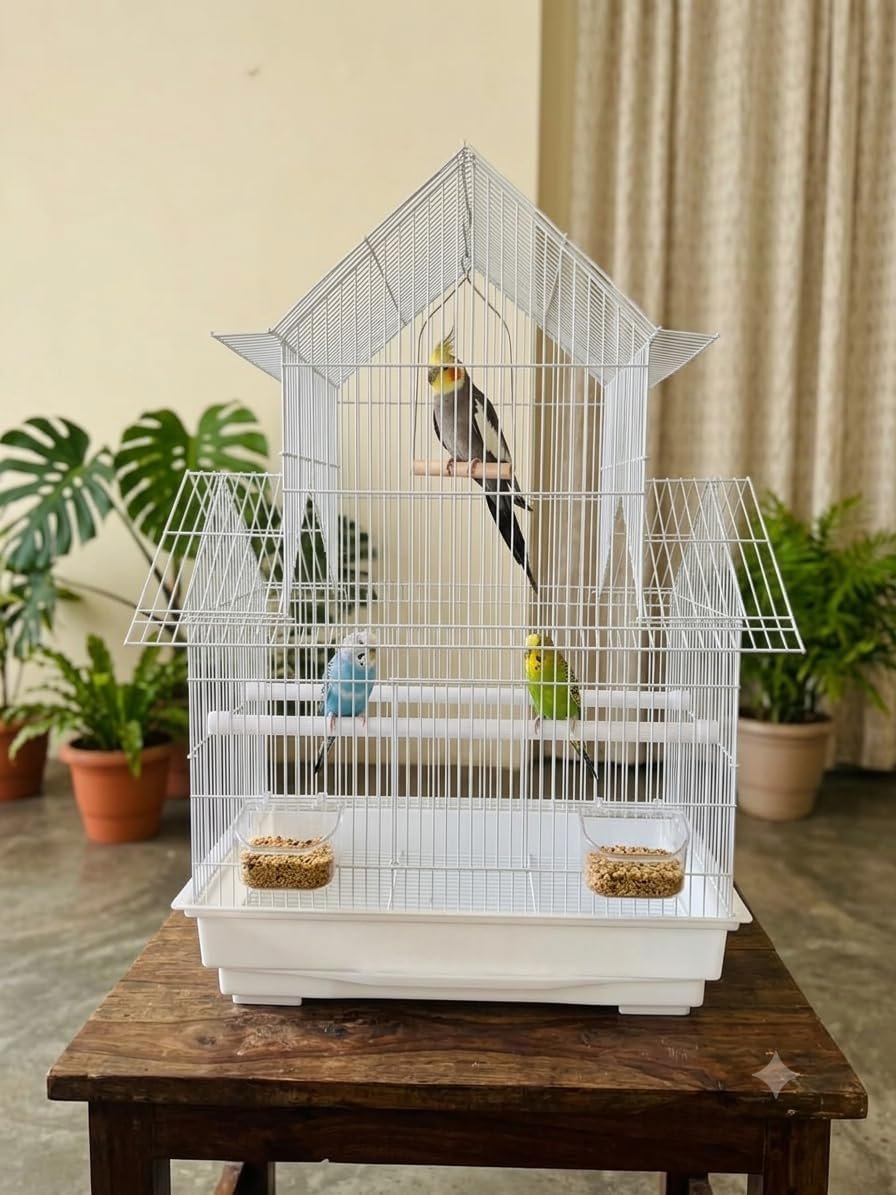 CENTRAL FISH AQUARIUM Bird cage for Budgies,Finches,Love Birds,Cuttlefish BoneHolder,Cuttlefish Bone, 2perch,2 Cups (44x 33 x