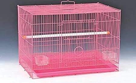 CENTRAL FISH AQUARIUM Metal 18" Bird Cage For Budgies,Finches,Love Birds,Cocktails,Conures,Cuttlefish Bone Holder,With Cuttle