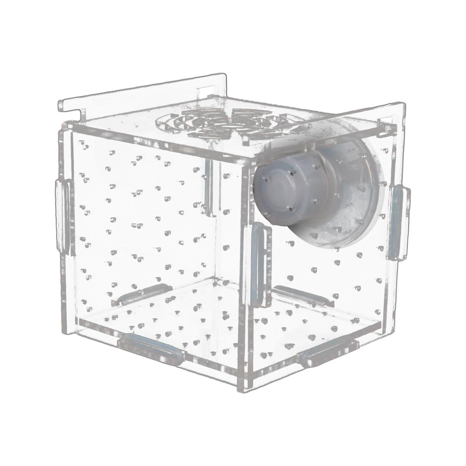 Club Bollywood®Aquarium Fish Breeder Box Clear Aquarium Accessory for Newborn Fry Clownfish 6cmx6cmx6cm|Pet Supplies | Fish &