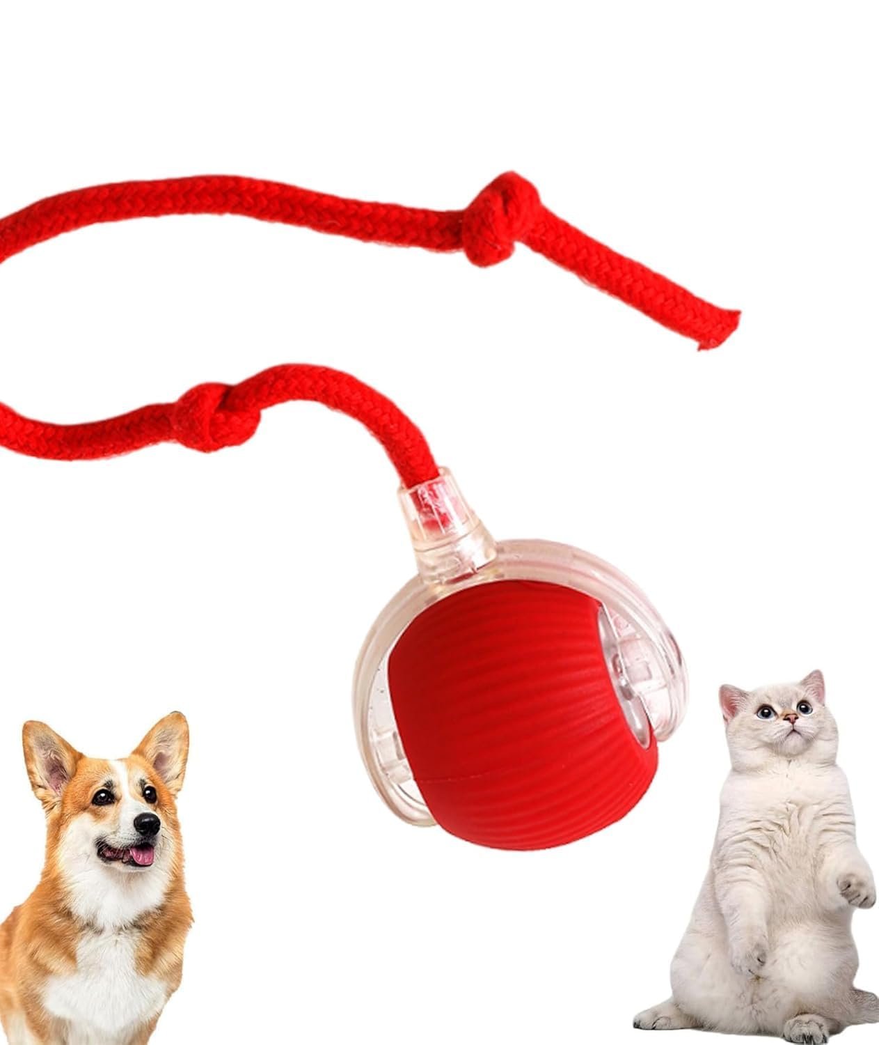 CTN Enterprise Cat Toys Ball – Smart Rolling LED Ball, Automatic & USB Rechargeable Motion Activate for Indoor Kitten Puppy D