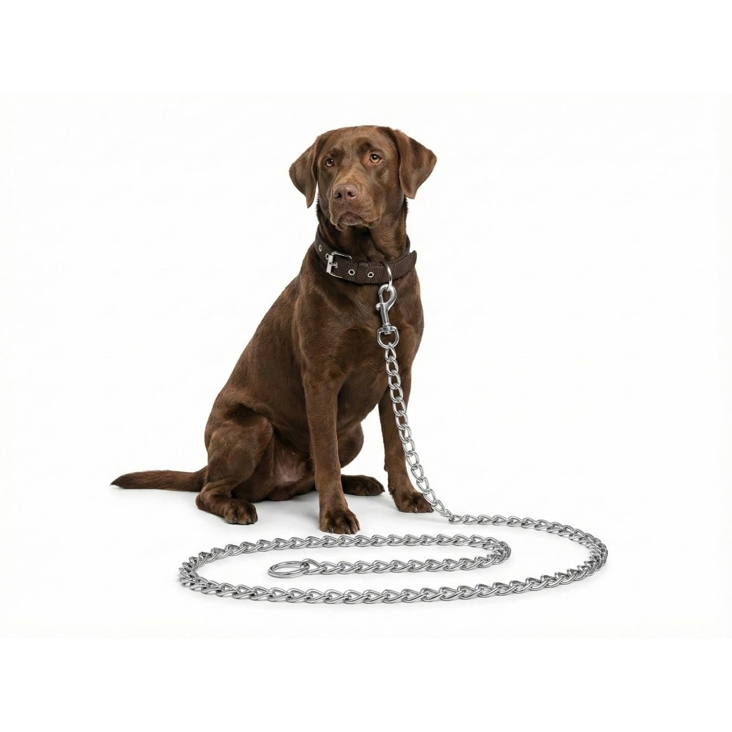 Dog Chain and Collar Combo Set, Metal and Leather, Adjustable, for Puppy Young & Adult, 2 Pieces (Brown, Small)