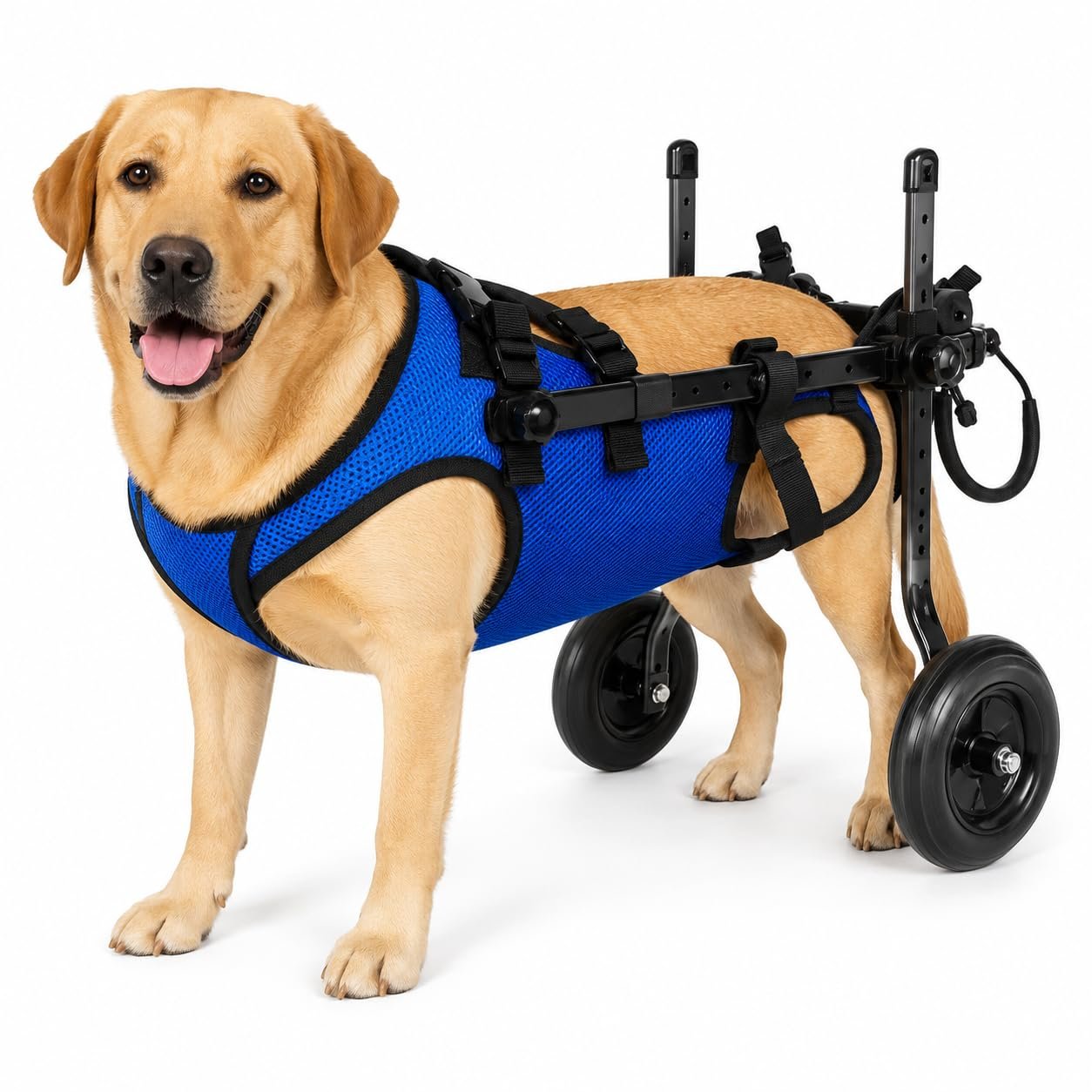 Dog Wheelchair for Back Legs, Adjustable Dog Back Leg Support Wheel Chair | Foldable Wheel Chair for Dog Leg Support, Helps D