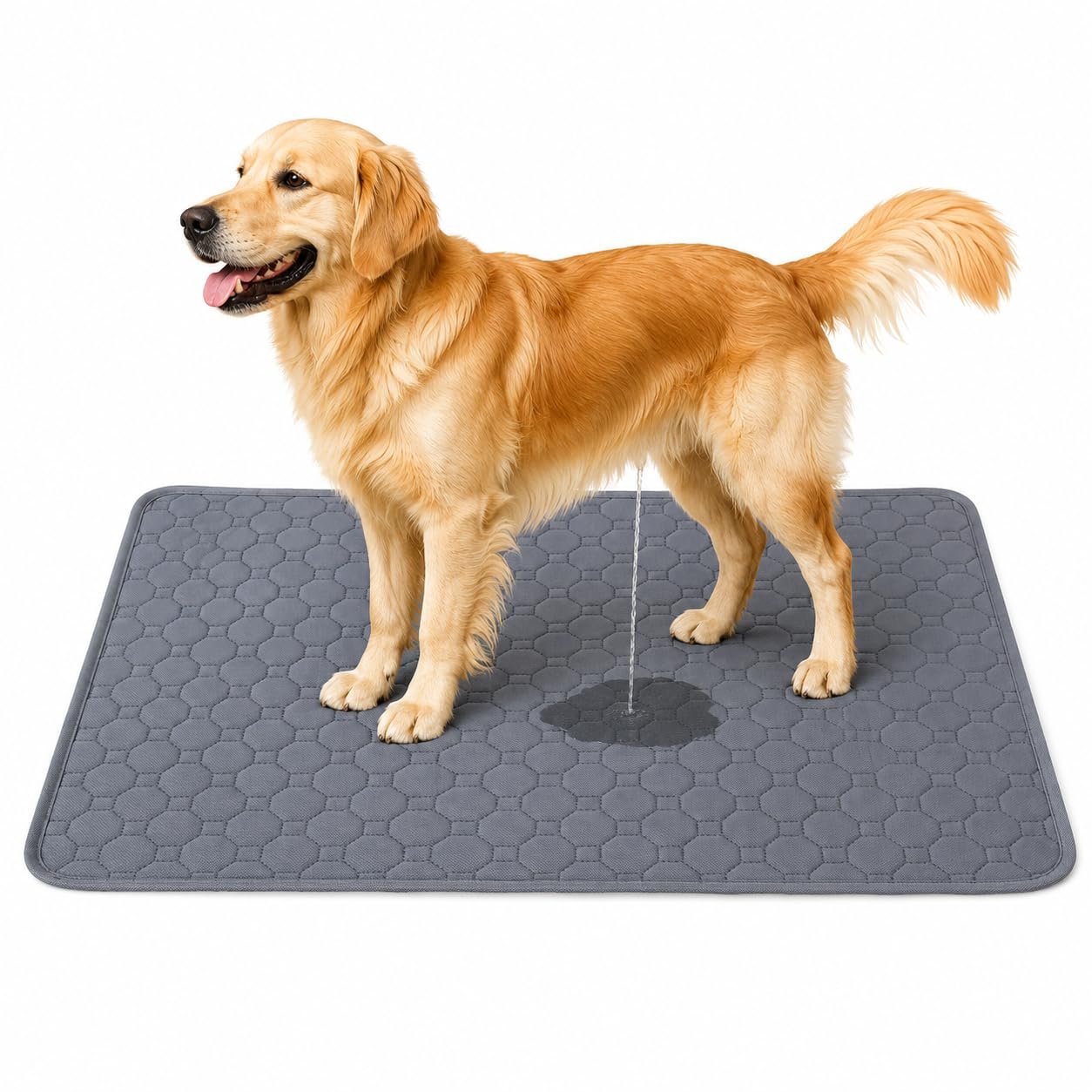 Doggifys Washable Pee Pads for Dogs | Waterproof, Leakproof & Reusable Training Pad | Anti-Slip Quick Dry Dog Potty Mat for F