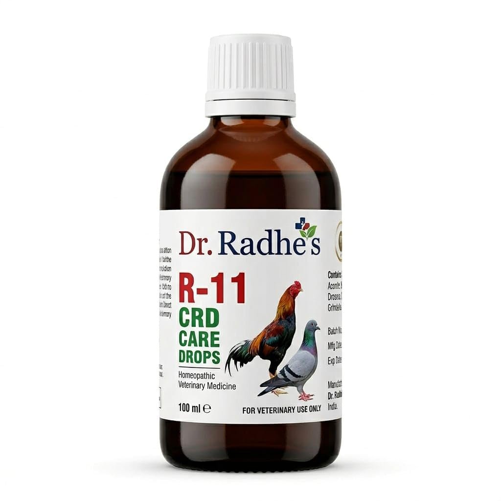 Dr. Radhe's R-11 CRD Care Drops for Poultry, Aseel & Pigeons - 100ml | Advanced Treatment for Chronic Respiratory Disease, Se