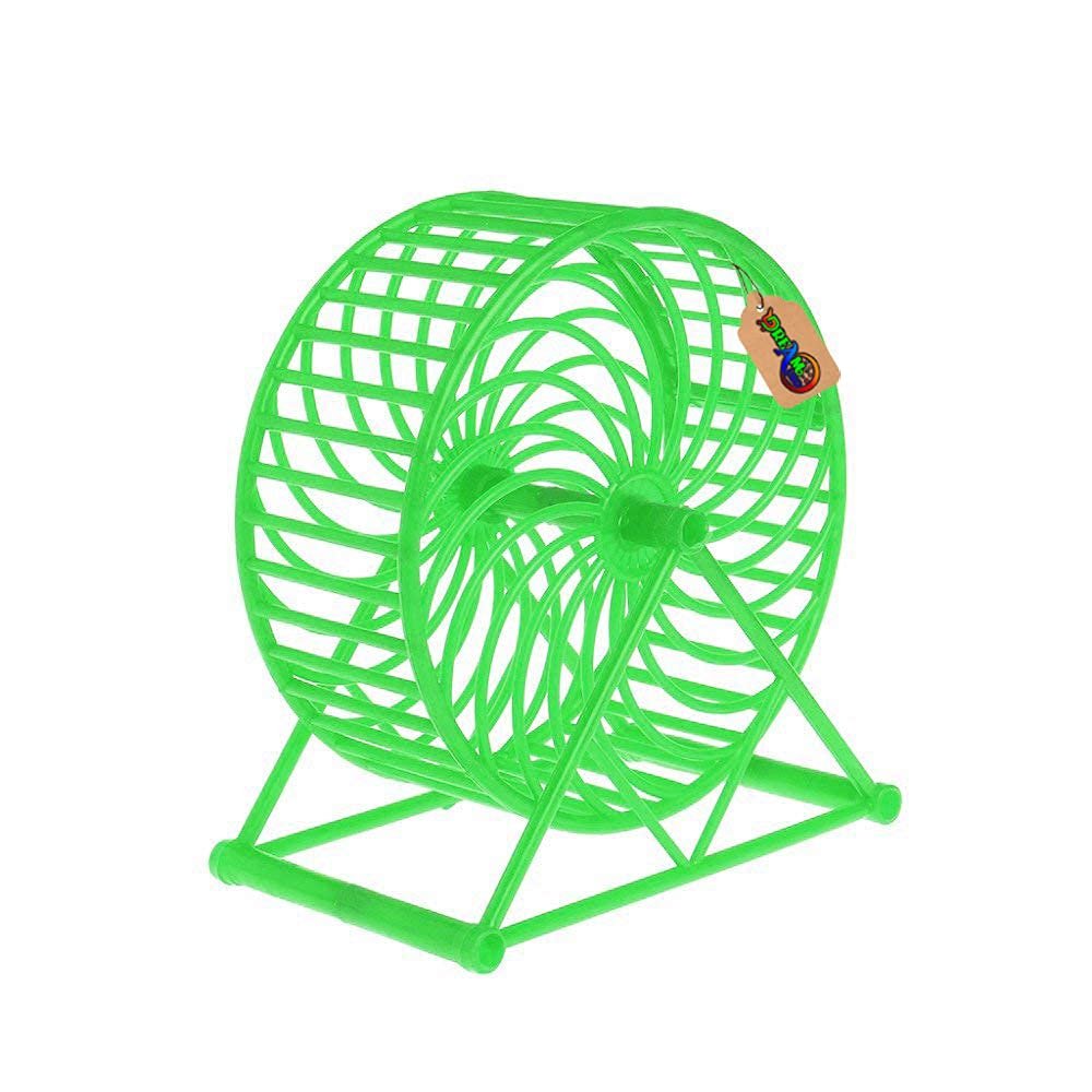 DreamAuro Jumbo Running Cum Jogging Cum Exercise Wheel for Hamster/Dwarf/Gerbil/Mice/Mouse (13cm, Green)