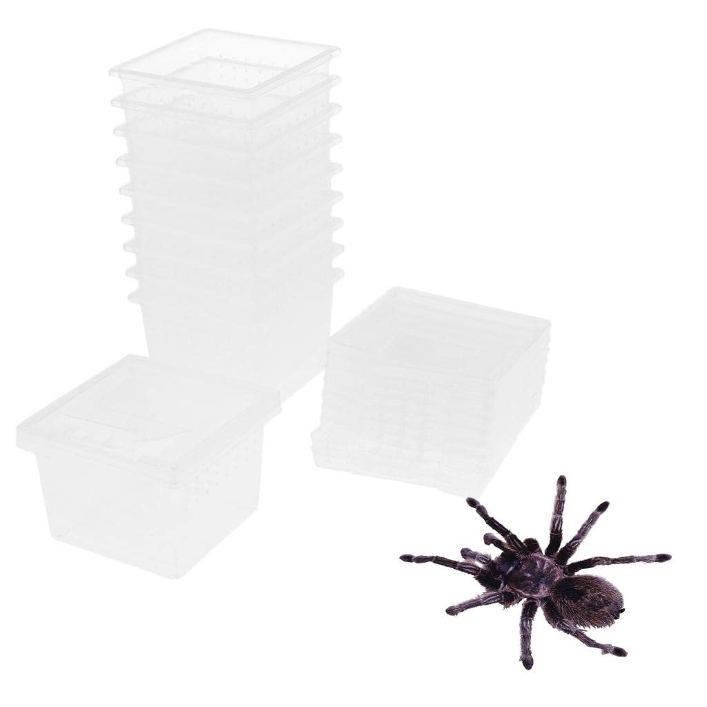 ECOMISTIQ® 10 Pcs Insect Reptile Spider Terrariums Breeding Box Hatching Container|Pet Supplies |Reptile Supplies