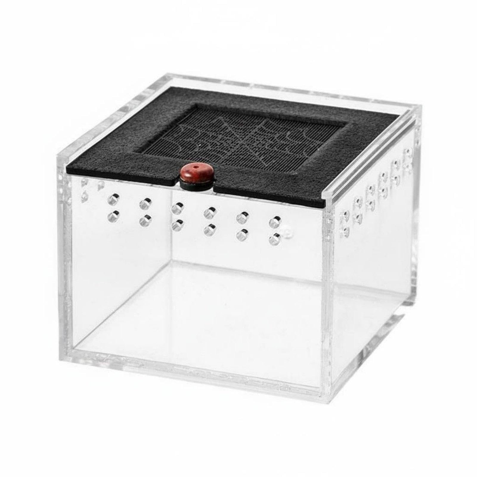 ECOMISTIQ®Acrylic Reptile Habitat Ventilated Design Transparent Arachnid Enclosure Secure Reptile Feeding Box for Hobbyists,
