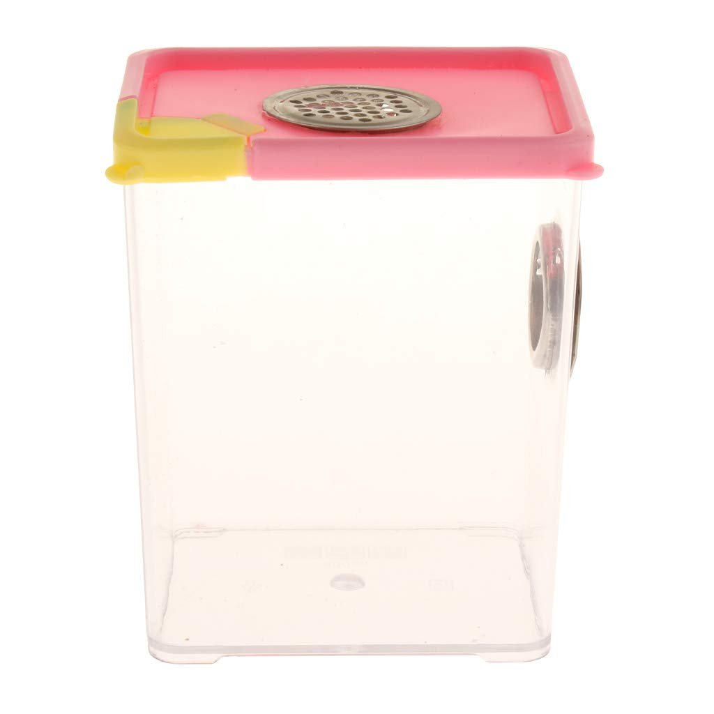 Enakshi Pet Supplies Tarantula Spider Insect Tank Transparent Breeding Container 2 |Pet Supplies | Reptile Supplies