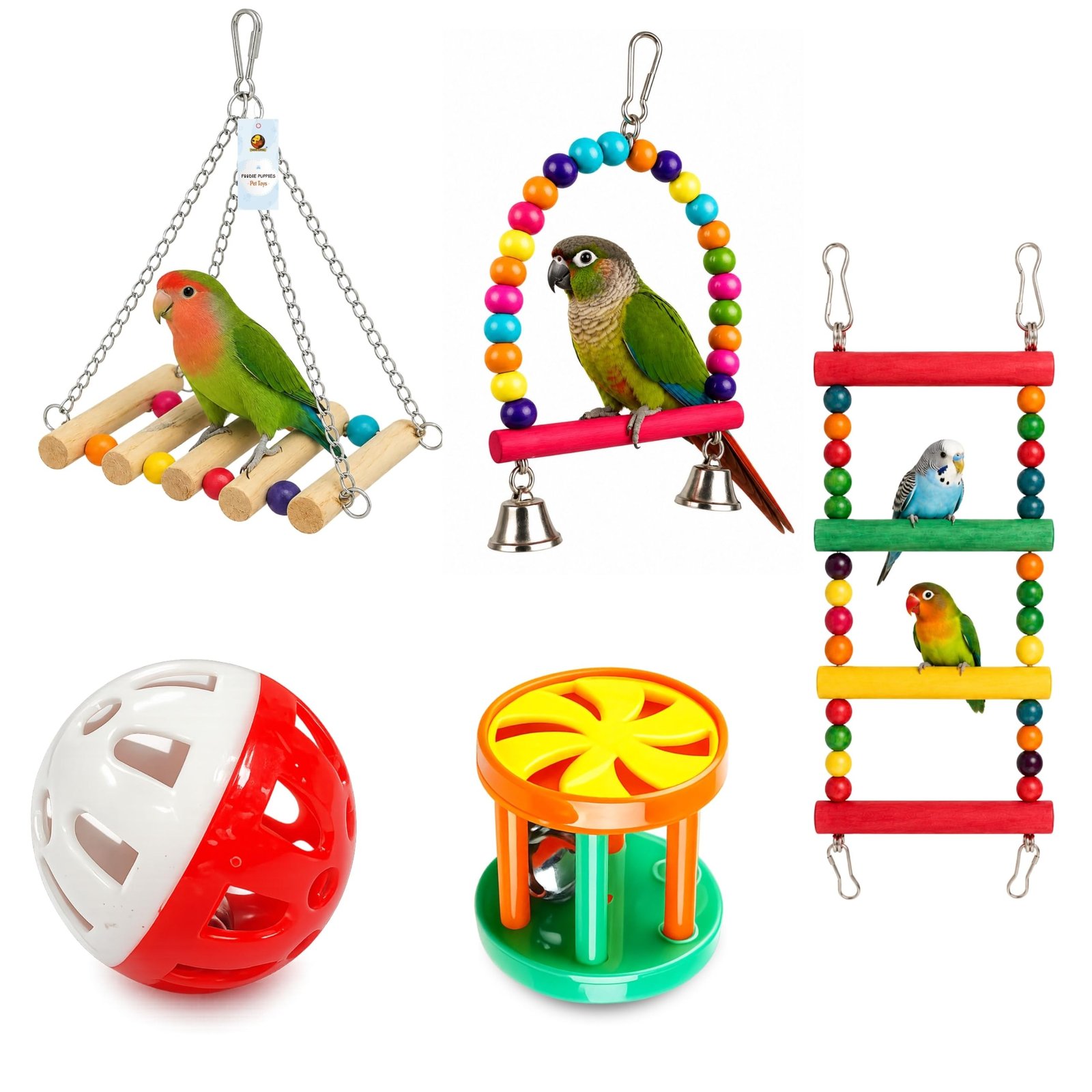Foodie Puppies 5Pcs Interactive Colourful Bird Cage Hanging Chew Toy Combo | (4-Stair Ladder, Chain Hinge, Oval Swing,Lattice