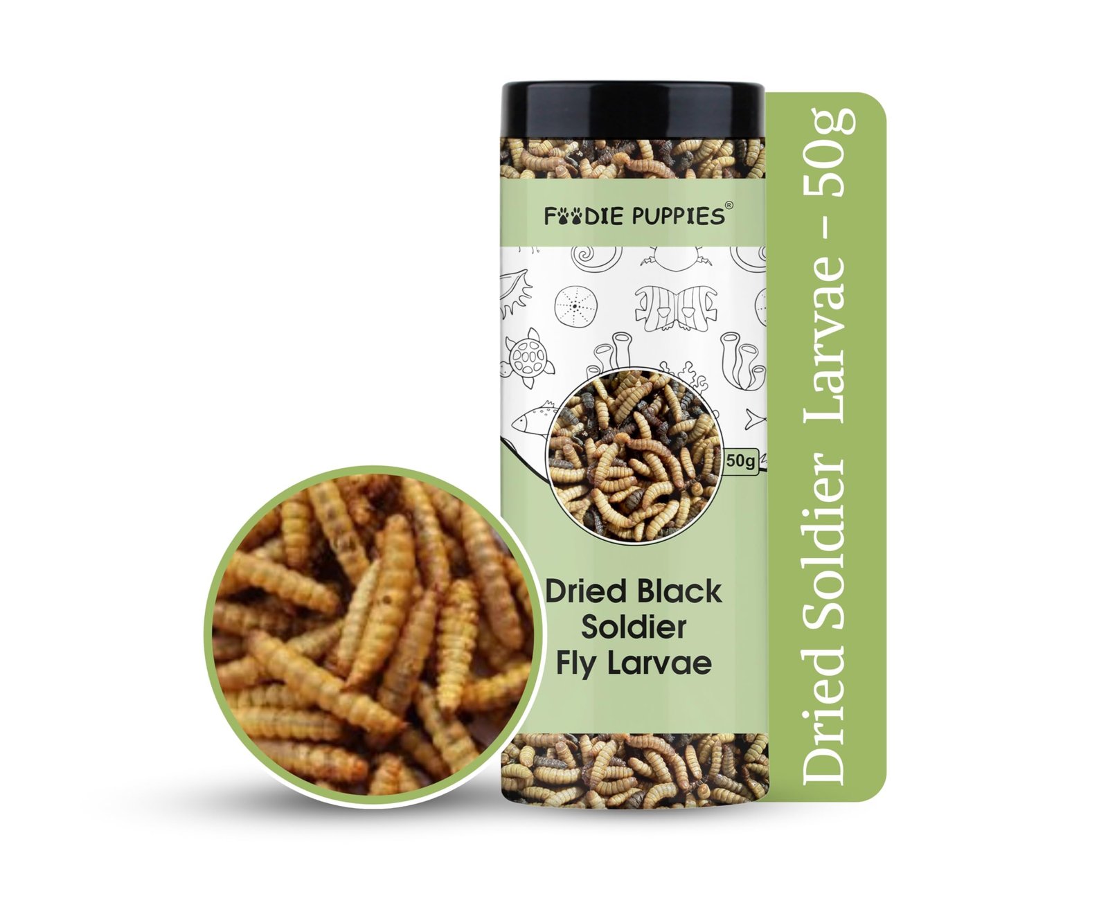 Foodie Puppies Dried Black Soldier Fly Larvae 50gm (Pack of 1) - Fish Food for Bettas, Tetras, Arowana, Flowerhorn, Oscar, Bl