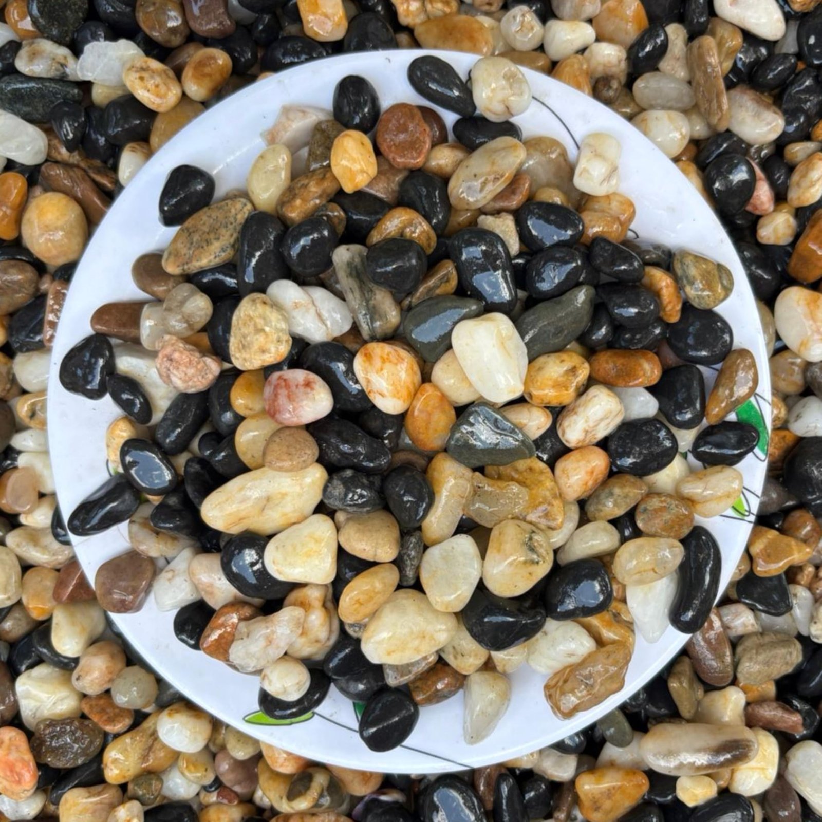 Foodie Puppies Natural Decorative Polished Stone (900gm, 1.5cm - 3.5cm) | Mix River Stones Perfect for Aquarium, Fish Tank, F