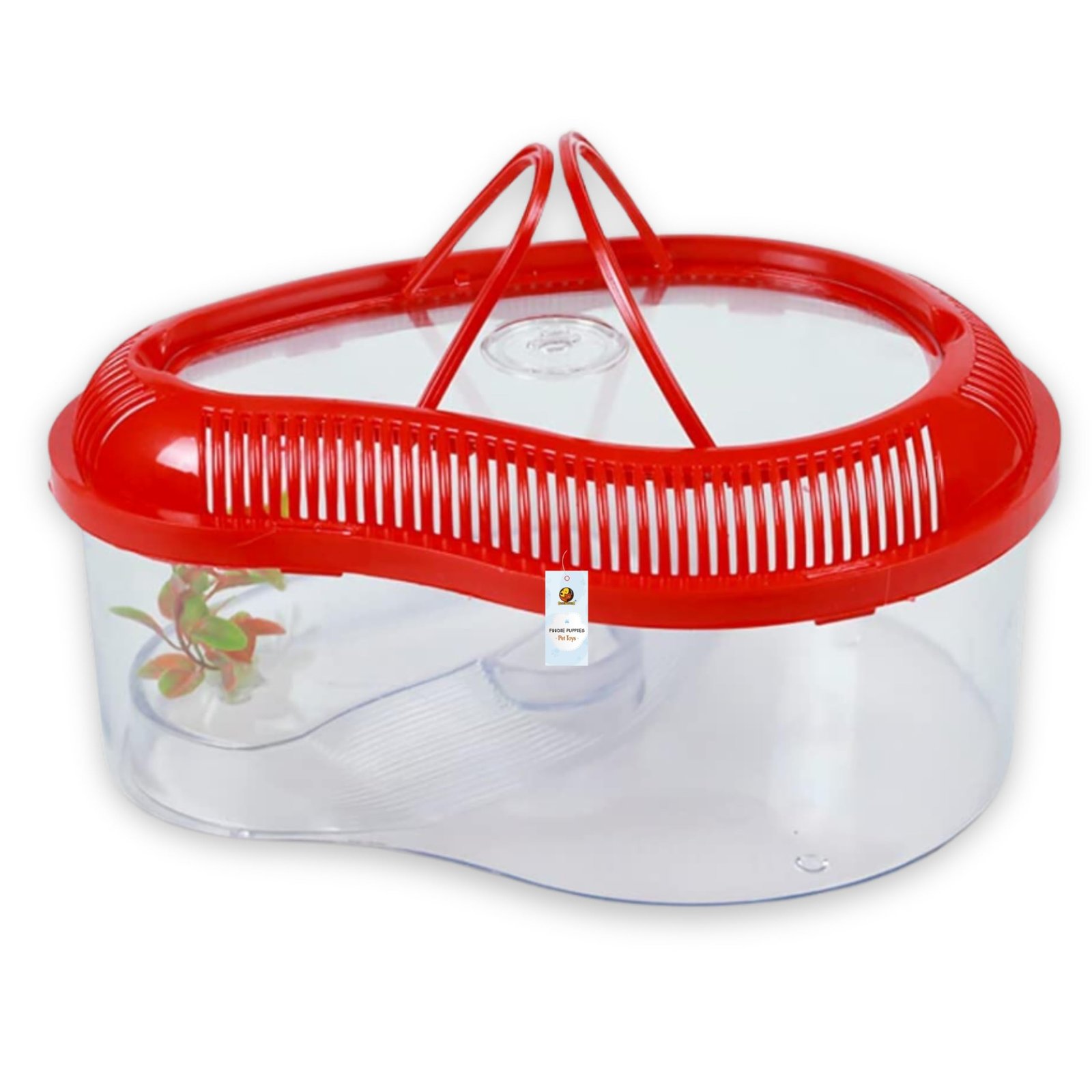 Foodie Puppies Transparent Turtle Tank Aquarium - (Mini - 0.9 FT/11 in Length) with Lid, Ramp | Basking Platform for Turtle H