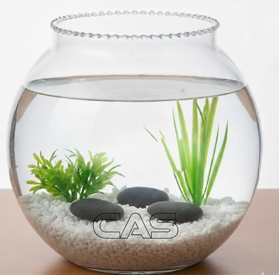 Glass Fish Bowl (6 Inches) 1.6 litres