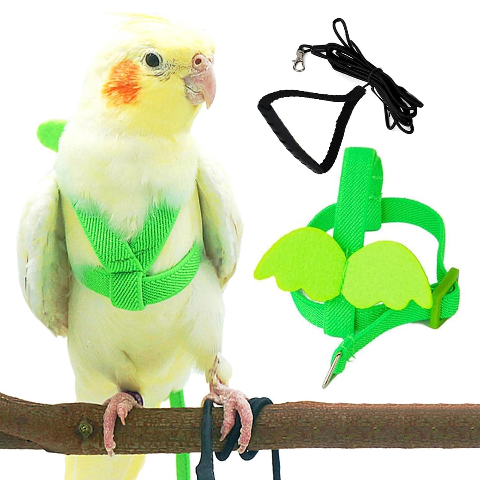 Green Bird Harness, Green Adjustable Bird Harness Leash, Buckle Lightweight Anti-Chew Walking Strap with Hand Grip, S Size 2M