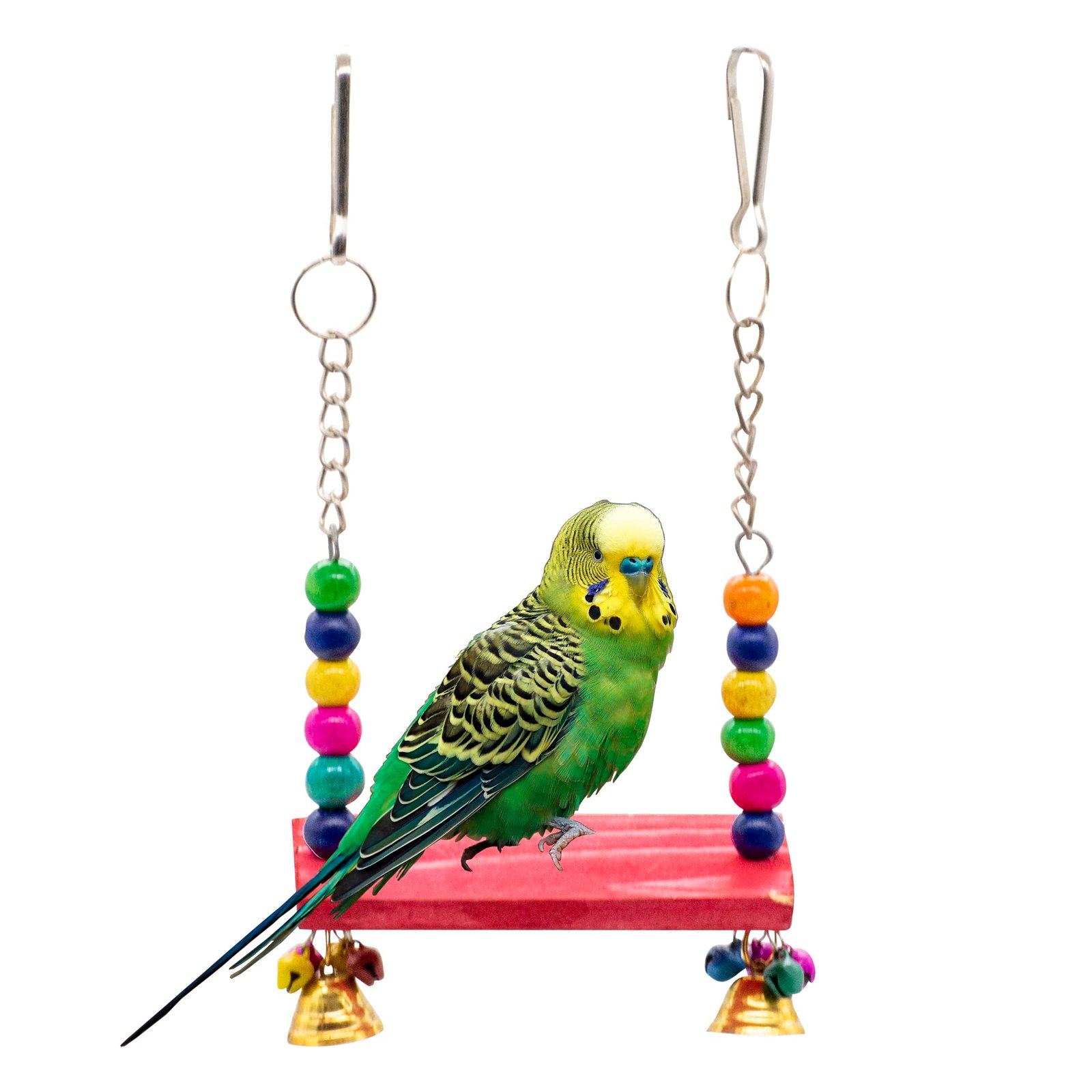 GREENBIRDS Toys Playful & Interactive Wooden Perch Swing Colorful Natural Parrot Toys Cage Accessories Resting Toy Wooden Tra