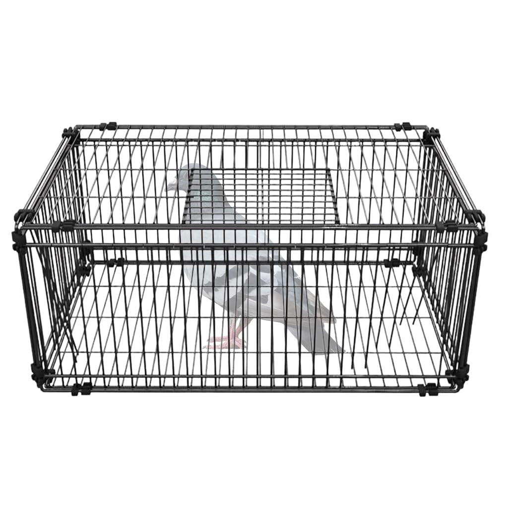 HASTHIP Pigeon Trap Cage, Dual-Door Rabbit Cat Rat Squirrel, 60x40x26cm | Live Capture, Simple Release Handling, Easy Placeme
