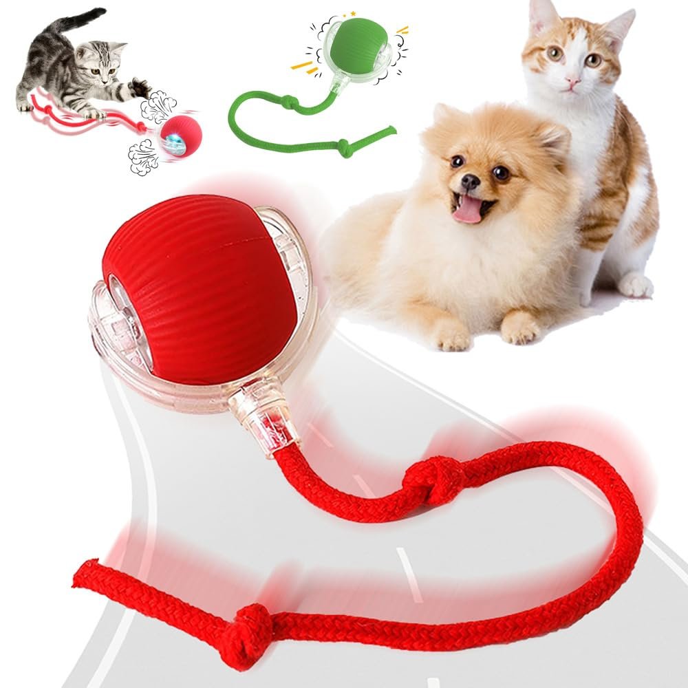 HIK FASHION Interactive Electric Automatic Rolling Moving Rechargeable Self Play Stimulation Toy for Cats and Small Dogs - Sm