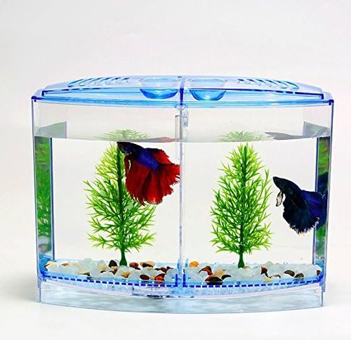 (India pet Shop) Plastic Betta Tank for Fish