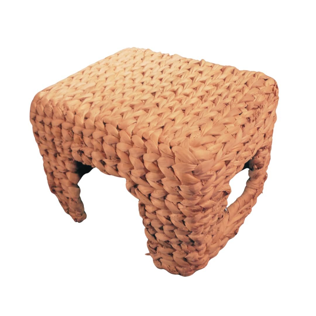 INR's Farm Fresh 100% Natural Banana Stem Fibre Chew Toy & Hideout for Guinea Pigs – Eco-Friendly, Handwoven, Safe Chew Hideo