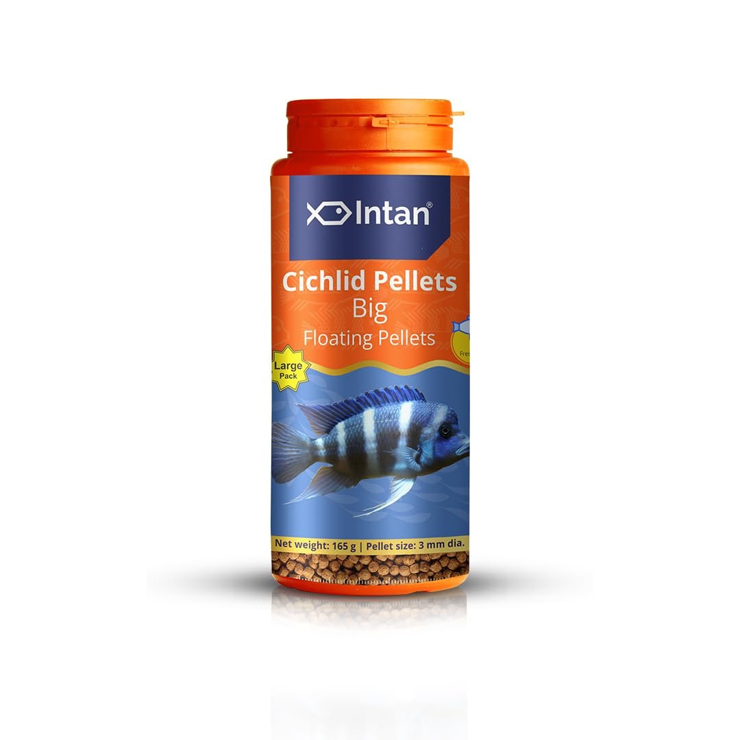 Intan Cichlid Pellets (Big 3mm Floating) | 165gm - Highly Nutritious Ornamental Fish Food for All Varieties of Small & Big Ci