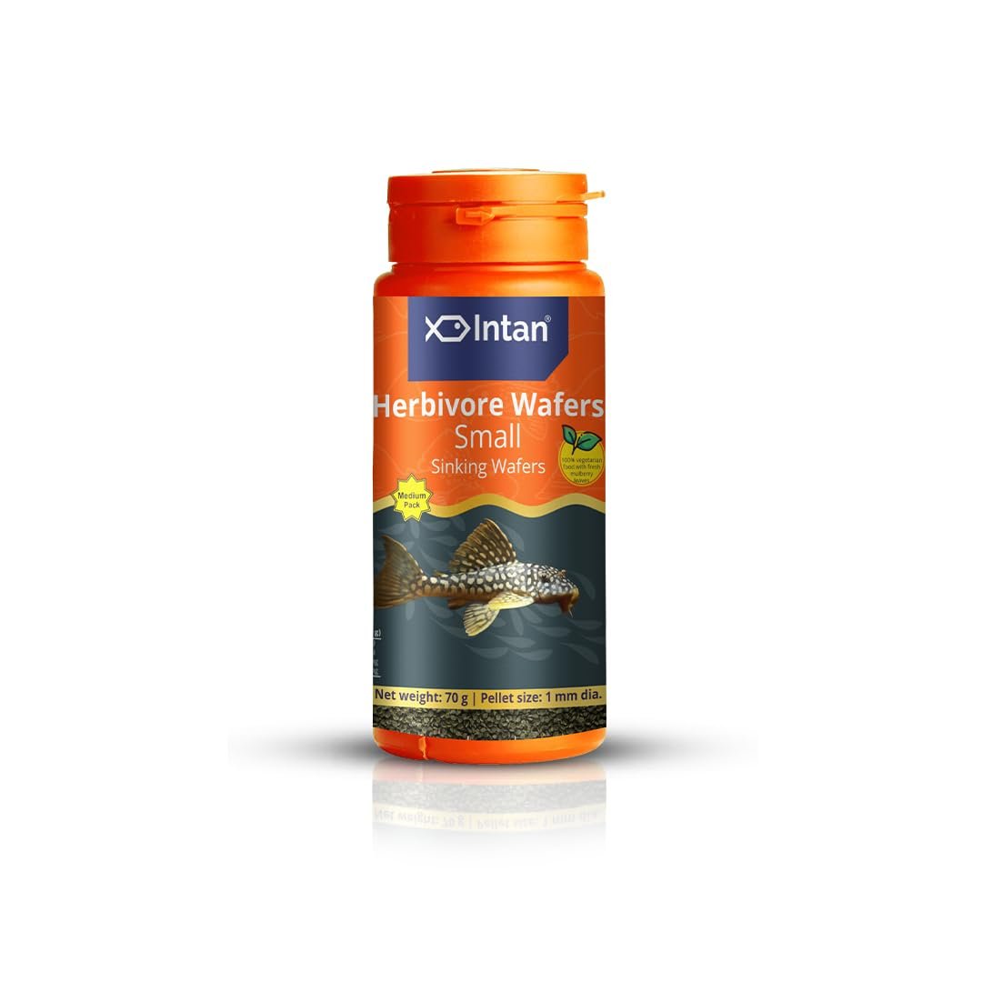 Intan Herbivore Wafers (Small 1mm Sinking) | 70gm - Highly Nutritious Ornamental Fish Food for Herbivorous Fish - Mollies, Mb
